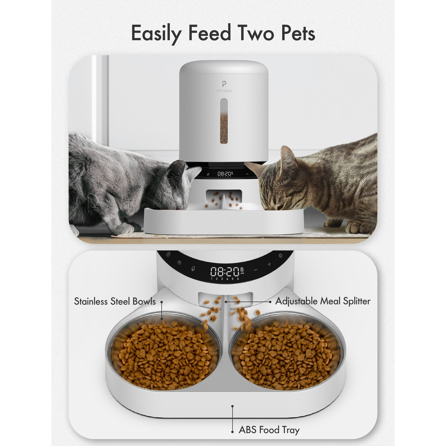 Two cats are eating from a dual pet feeder. There are two stainless steel bowls and an adjustable meal splitter.