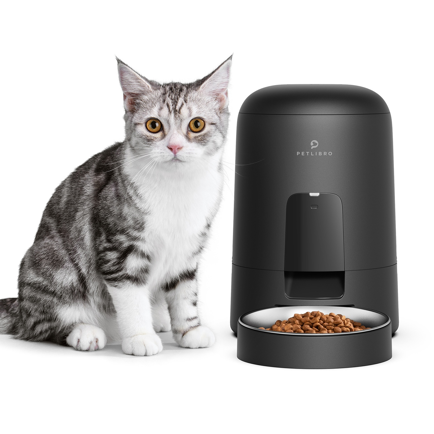 Cat near a black automatic pet feeder with food bowl.