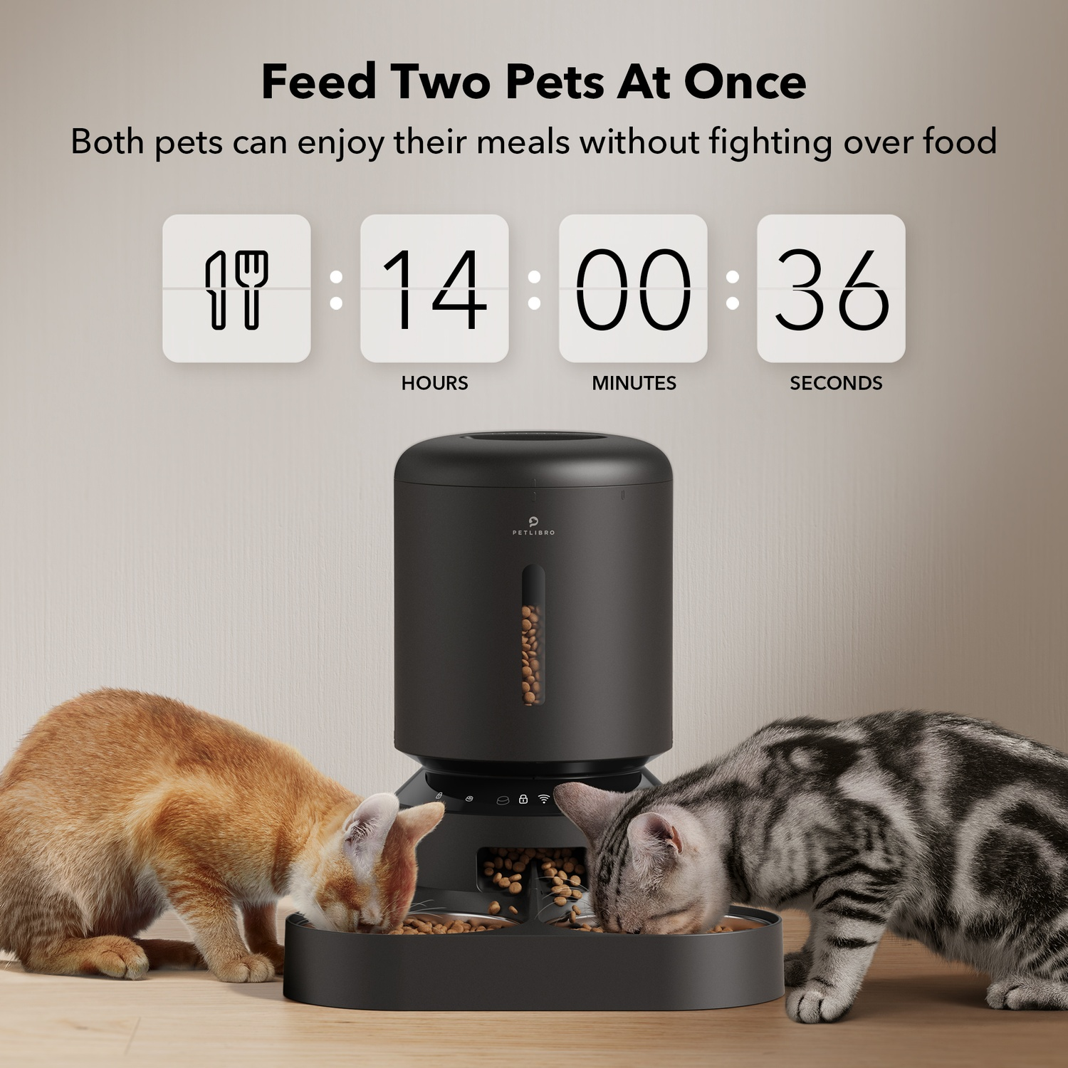 Automatic pet feeder with two cats eating from it. Digital clock with time display.