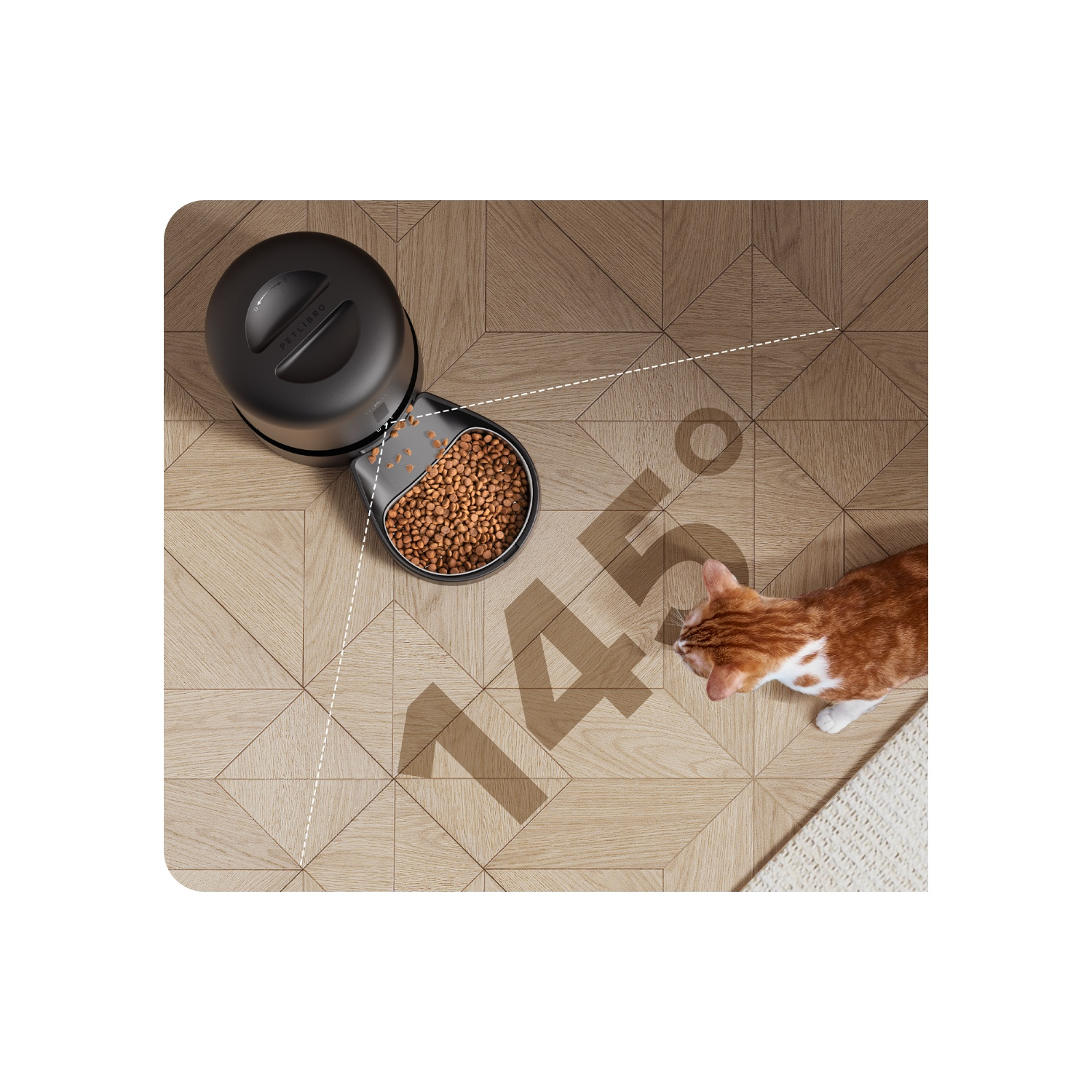 A cat and a pet feeder on a wooden floor with a 145-degree angle.