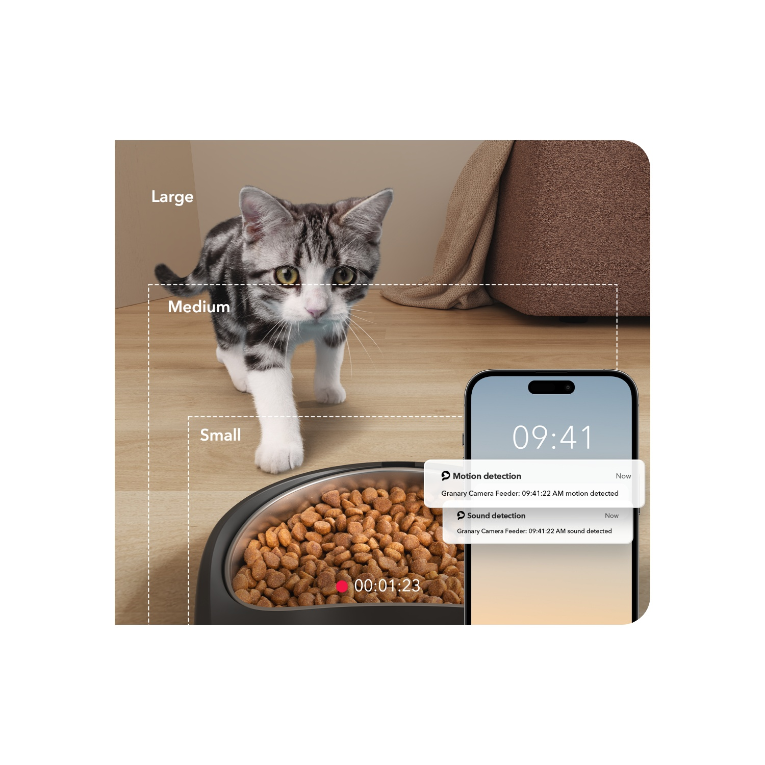A cat approaching a bowl with food and a phone showing motion/sound detection.