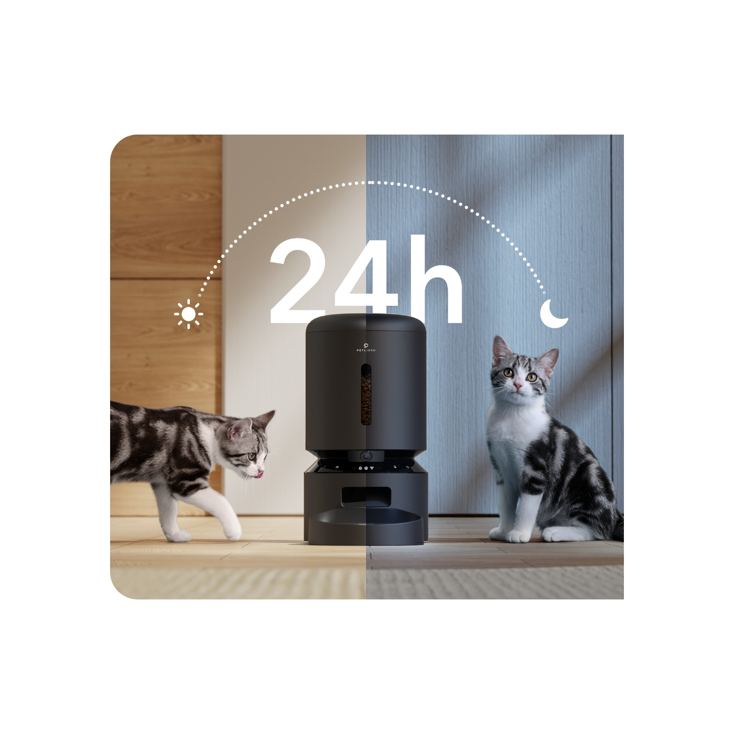 A cat feeding machine with two cats, showing day and night.