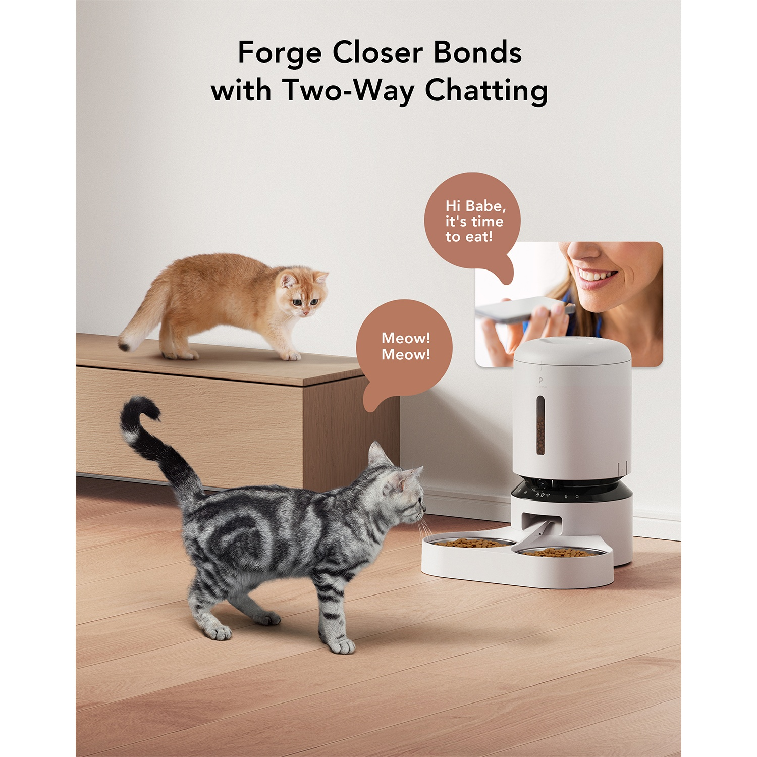 Two cats near a feeder. A woman's face is in a bubble.