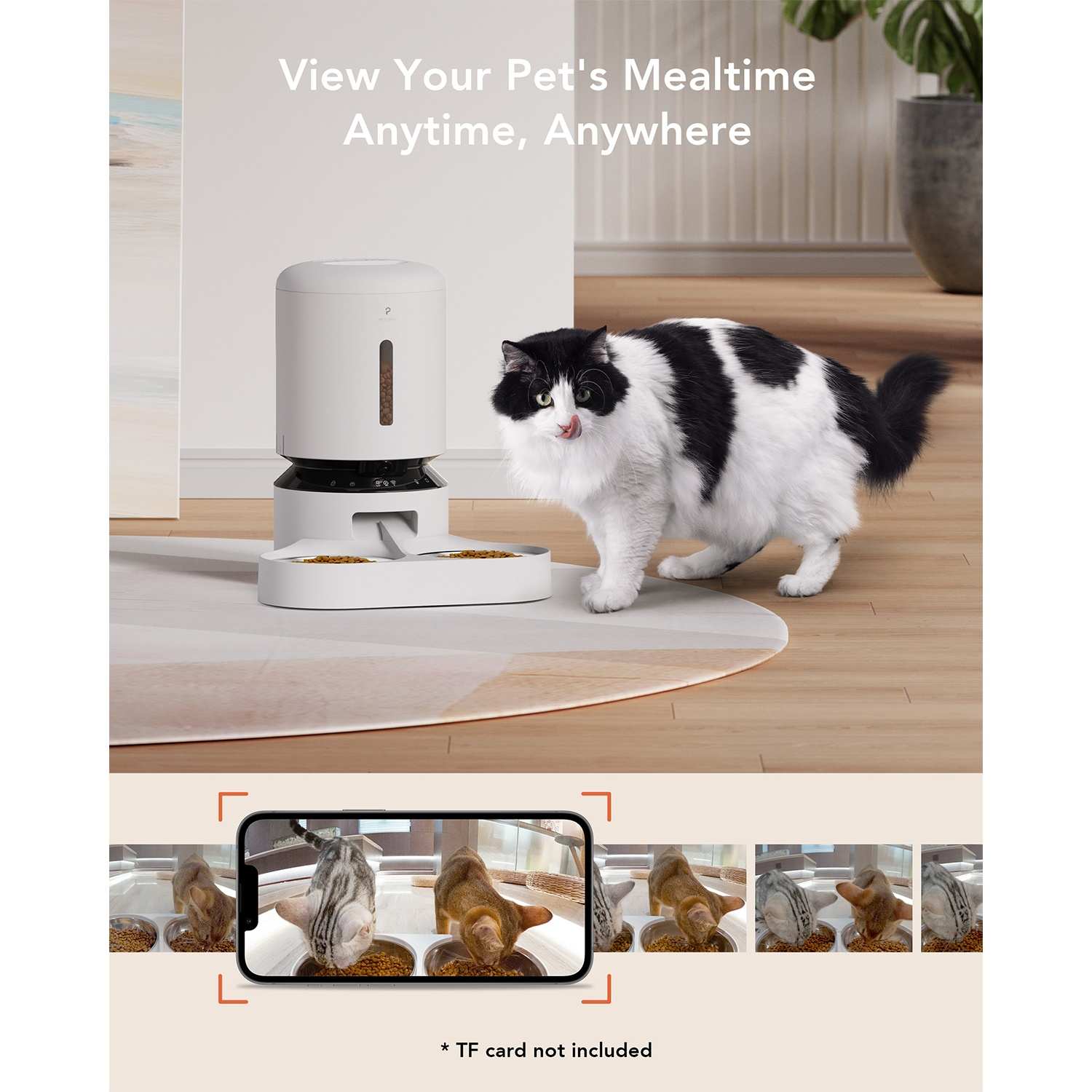 A cat eating from a pet food dispenser, with a phone displaying the live feed.