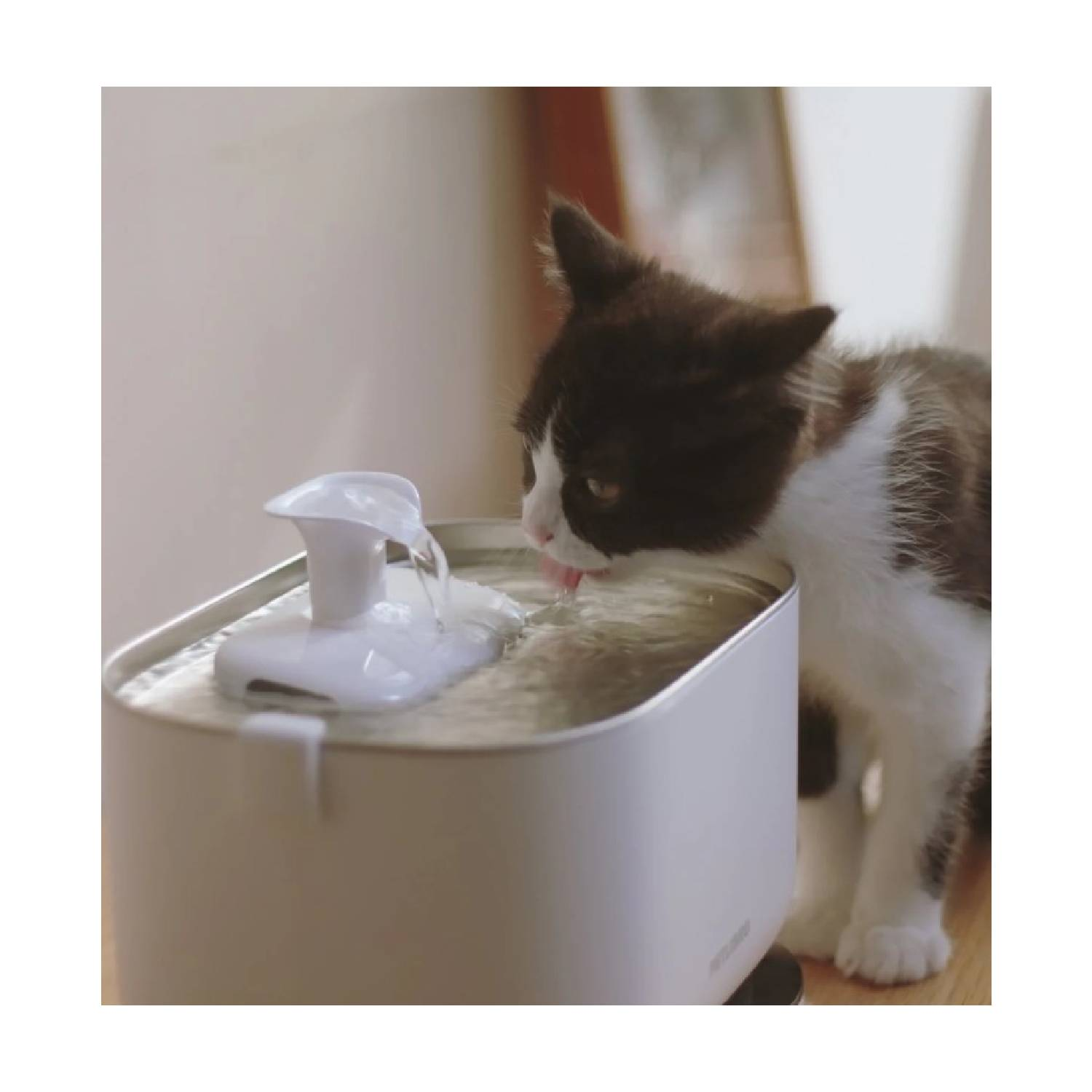 A black and white kitten drinking water from a white pet fountain. Water is flowing.