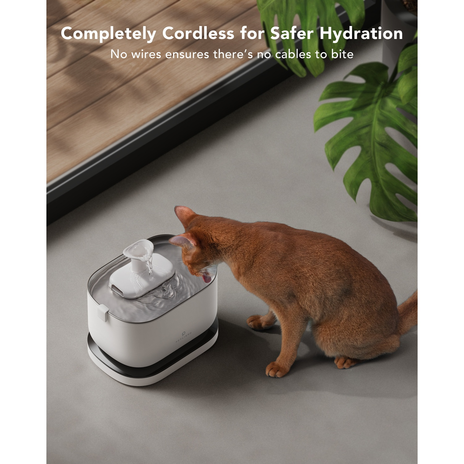 A cat drinking from a pet fountain; the text reads, 'Completely Cordless for Safer Hydration'.