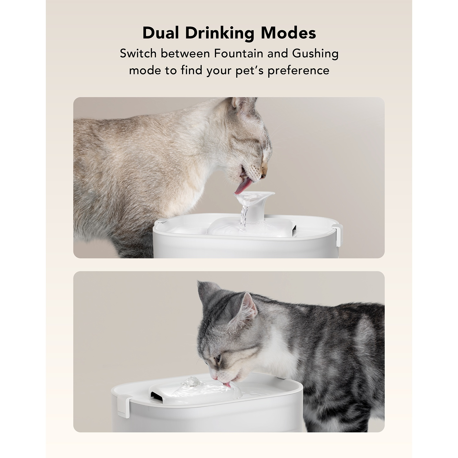 Two cats drinking from a pet fountain with two different modes.