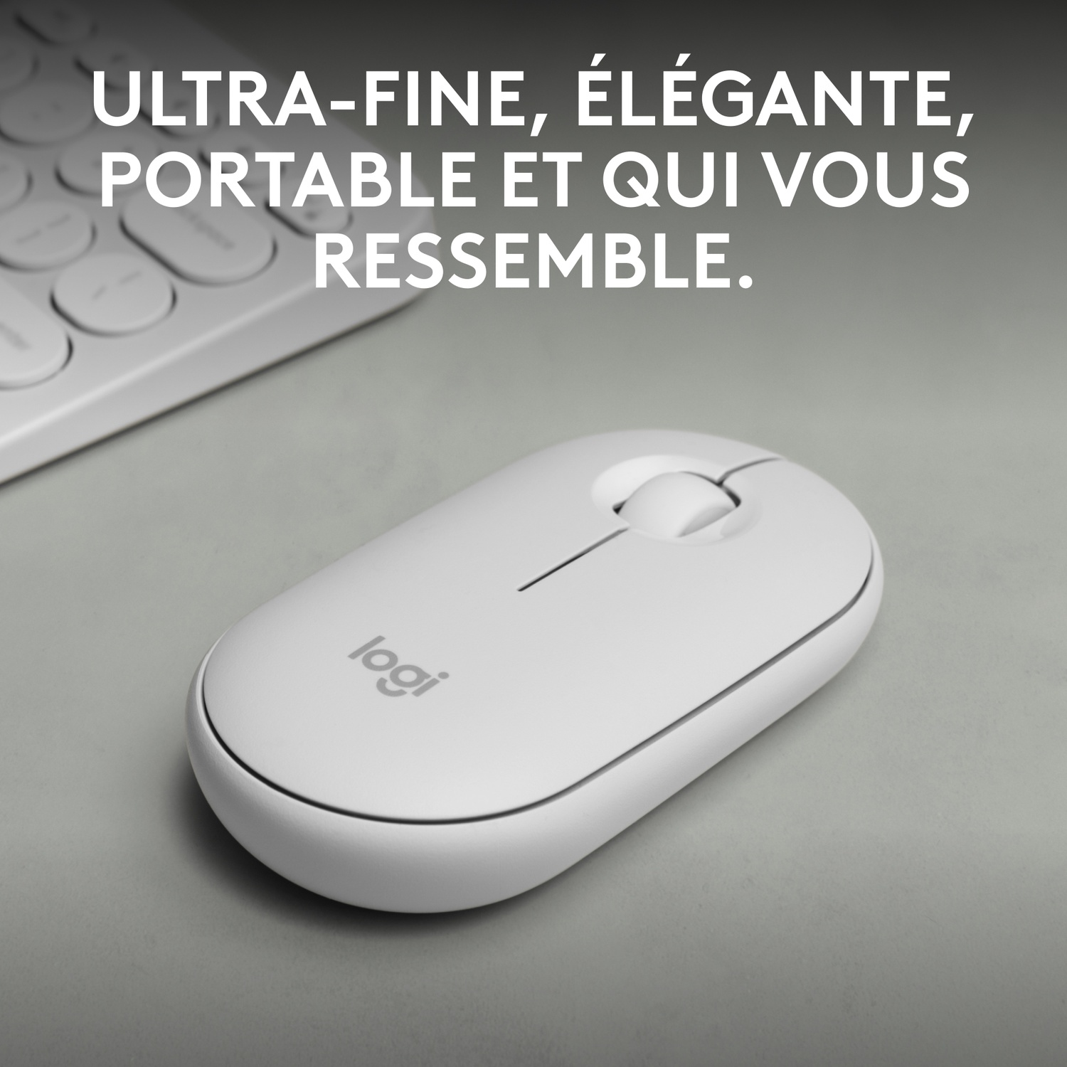 Souris blanche sur une surface grise.