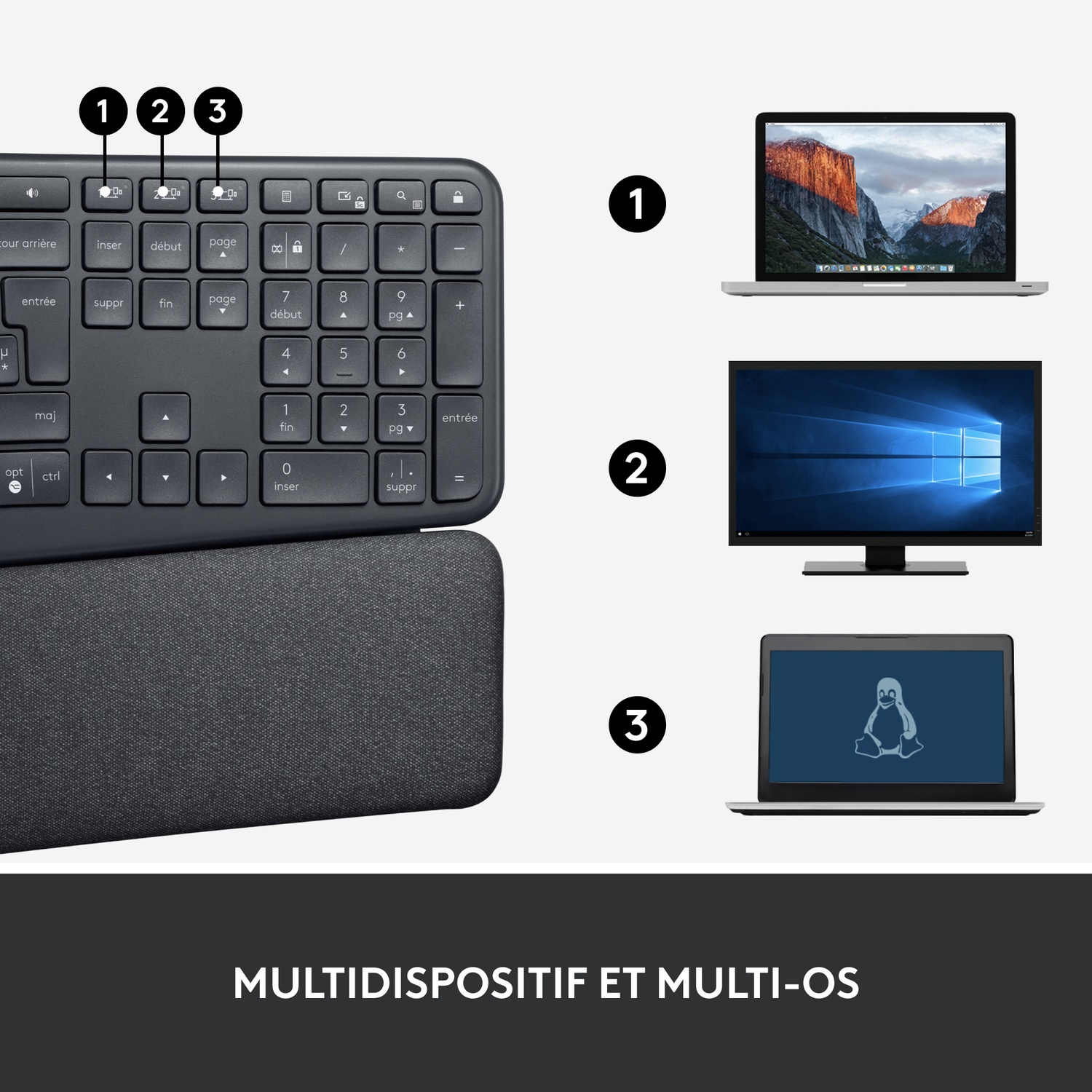 Clavier avec trois ordinateurs portables montrant différents systèmes d'exploitation. Un repose-poignets est en bas.