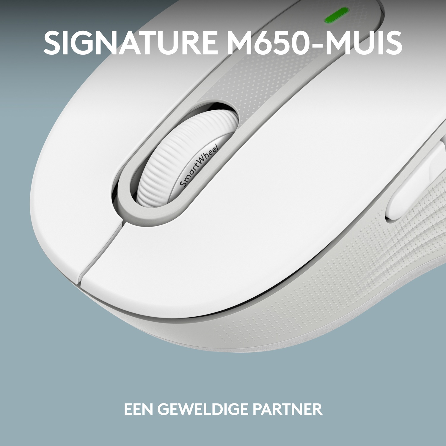 Close-up of a white mouse with a scroll wheel and the brand logo. The mouse is on a gray surface.