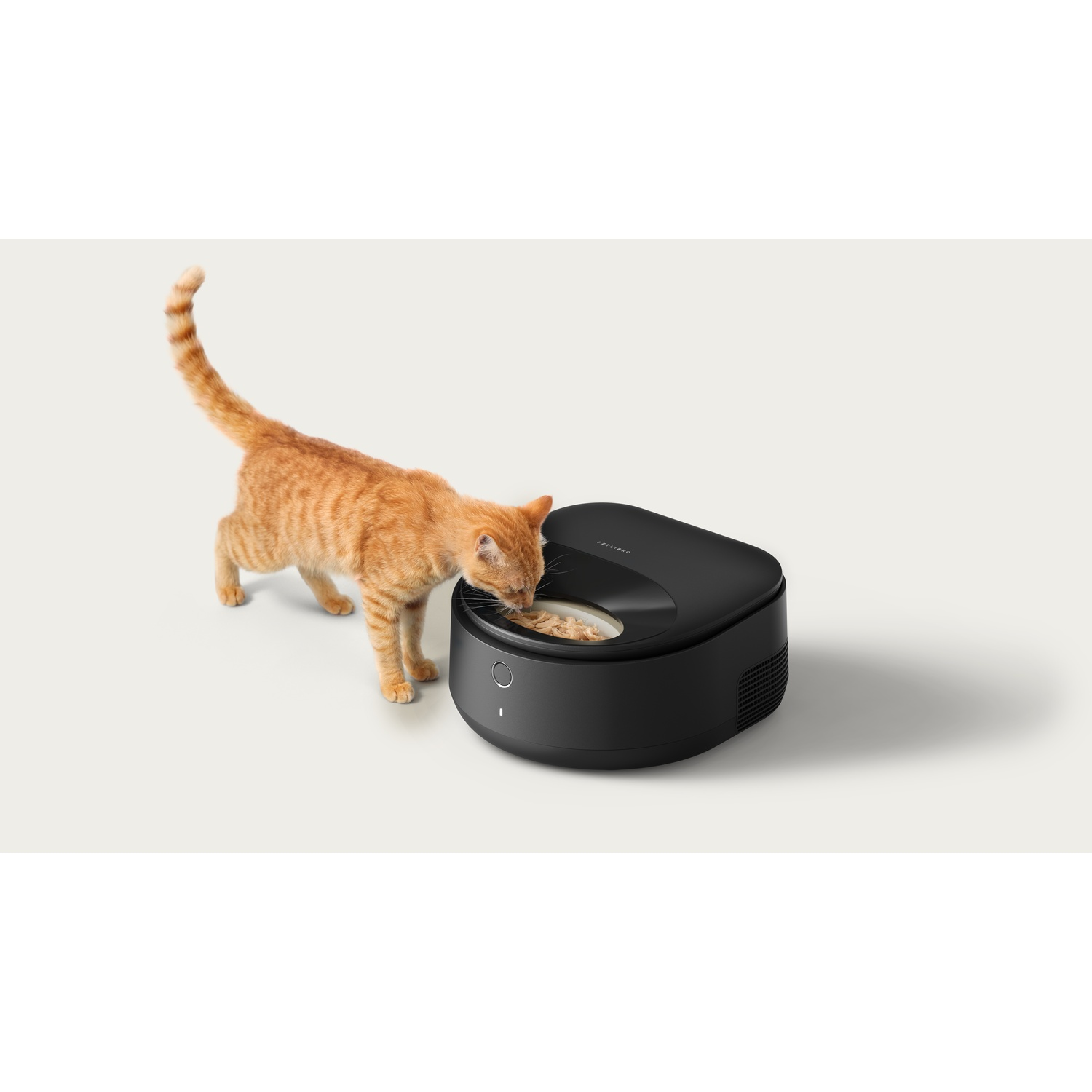 An orange cat eats from a black pet feeder. White background.