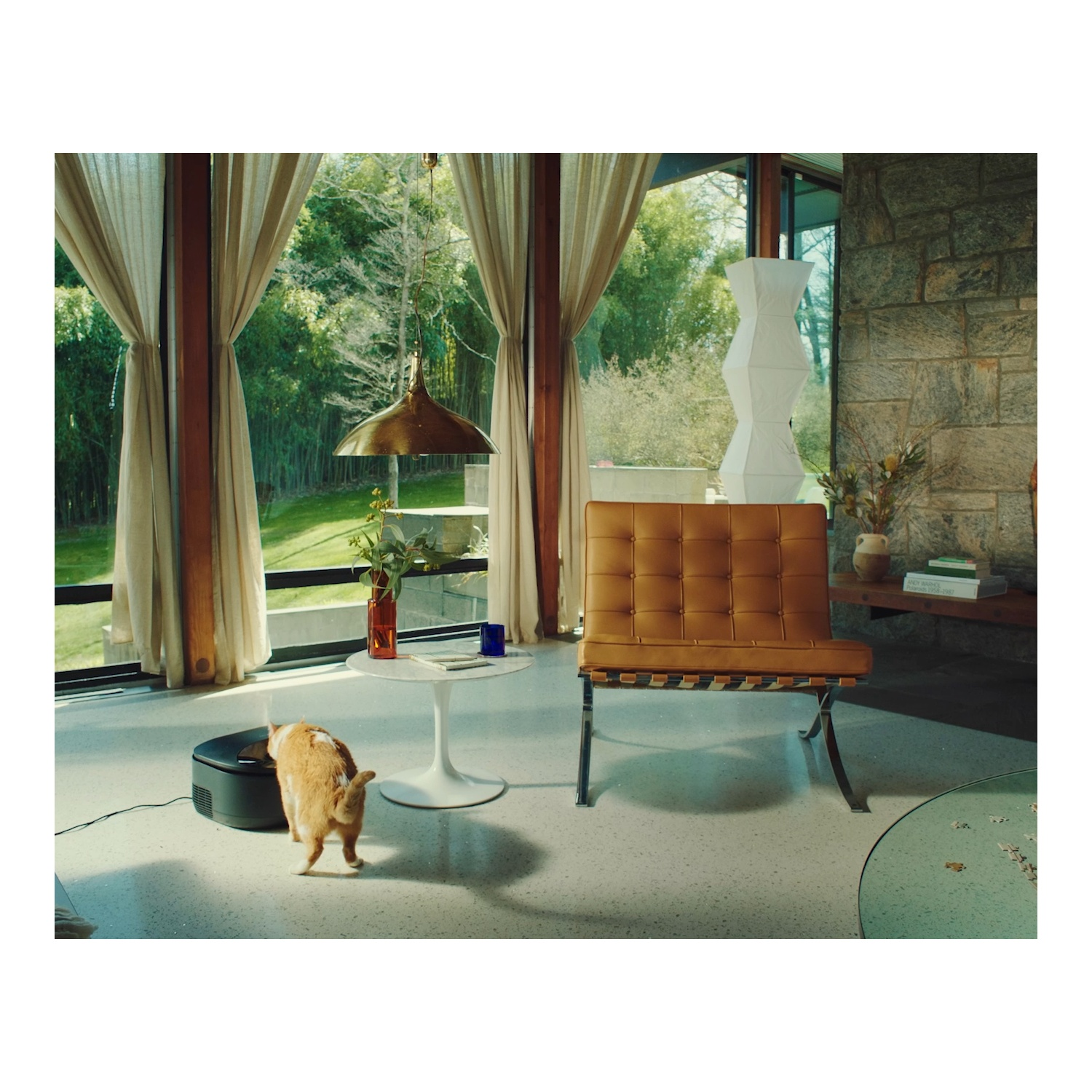 A cat approaches a cat litter robot in a modern living room, sunlight.