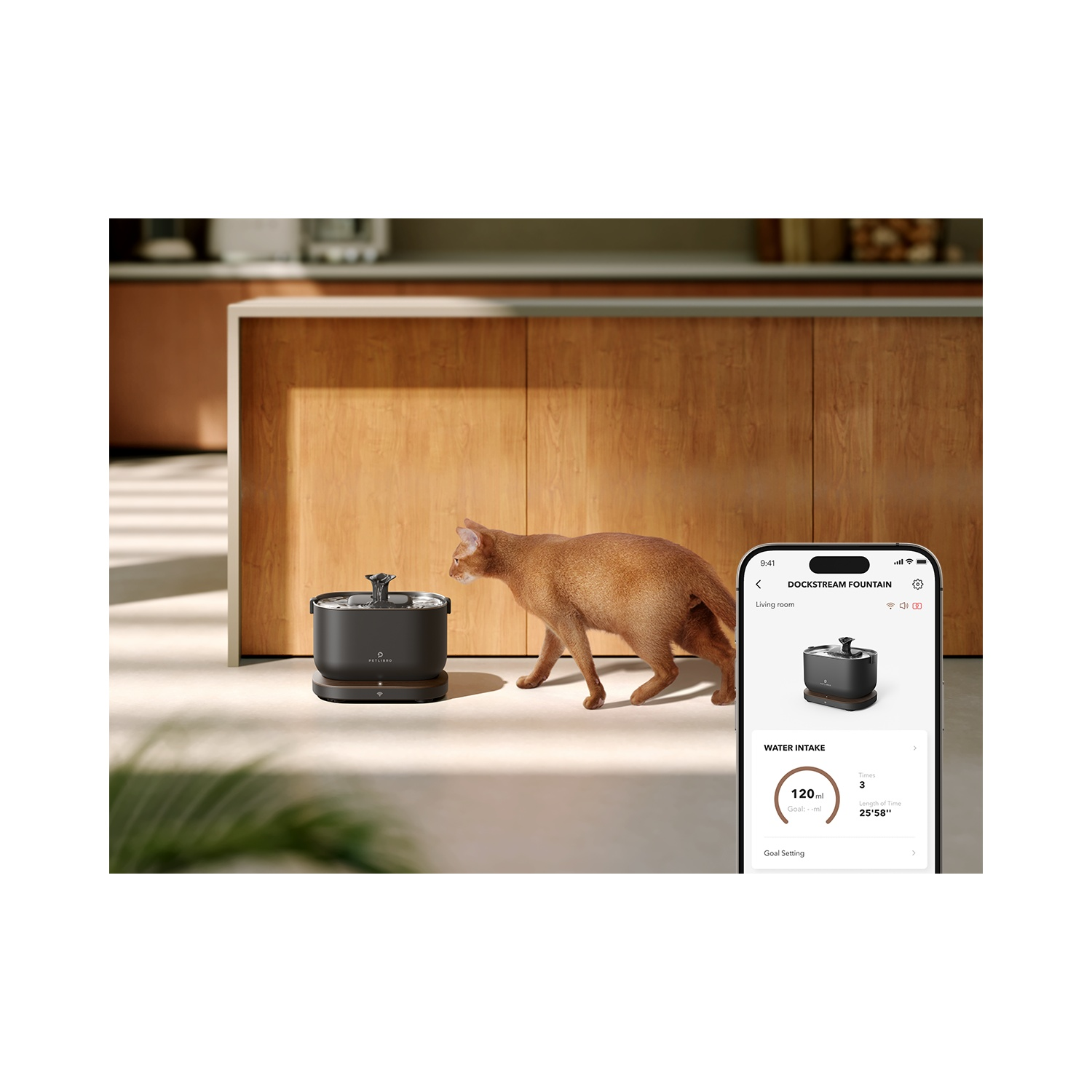 Cat approaching a pet fountain. Phone shows app interface. Kitchen background. Water intake and settings visible.