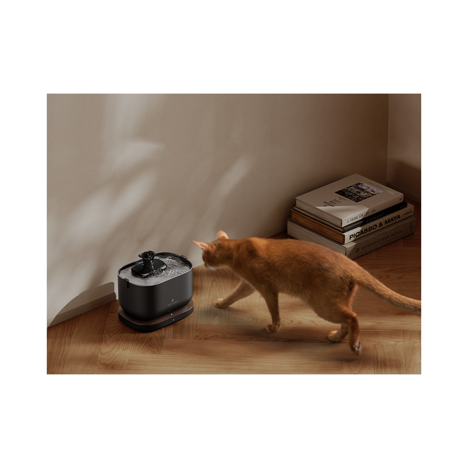 Cat near a pet water fountain. Books stacked in the background.