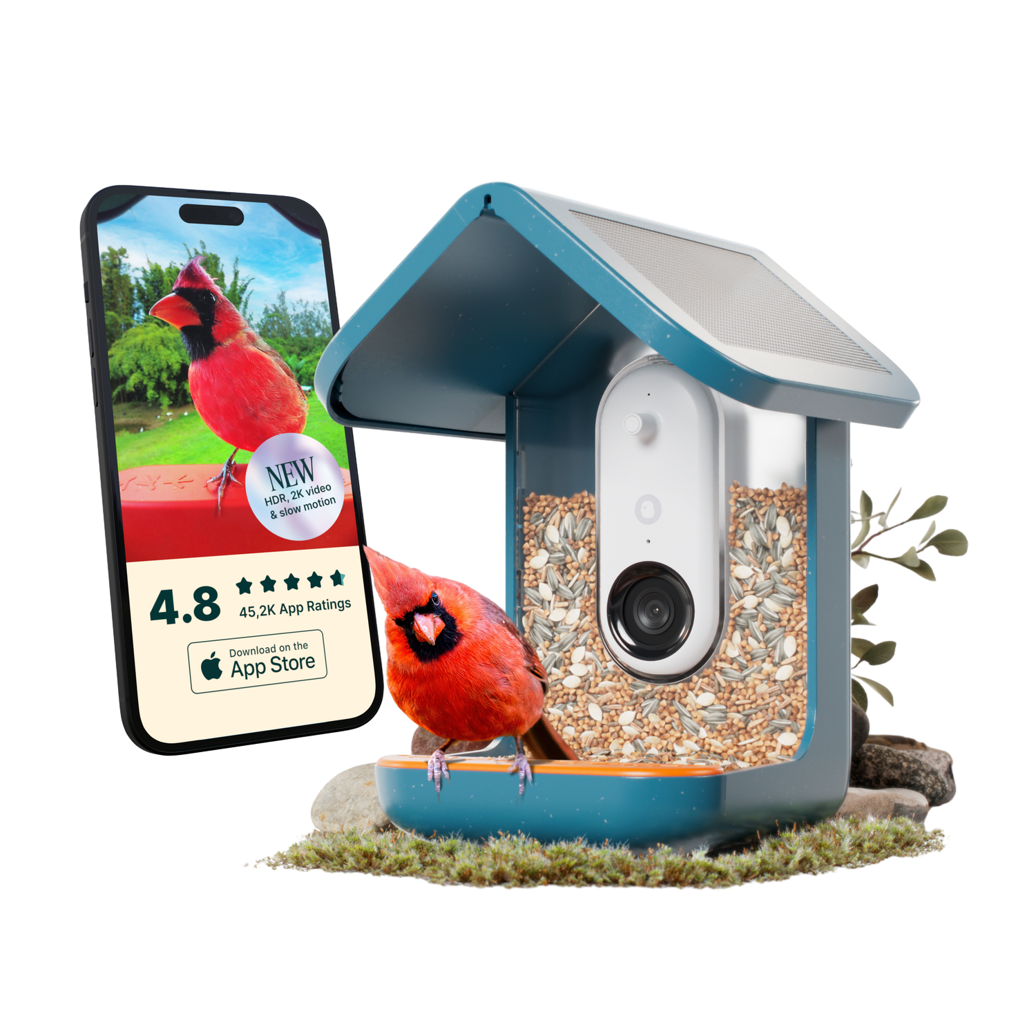Een vogelvoederhuisje met een telefoon waarop een kardinaal en app-beoordelingen te zien zijn. Een rode kardinaal zit op de voederbak.