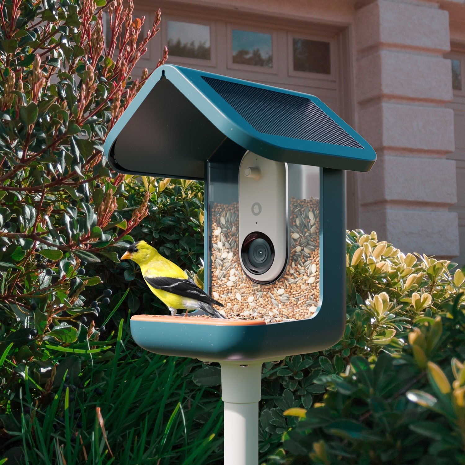 A bird feeder with a yellow bird and camera, set in a garden.