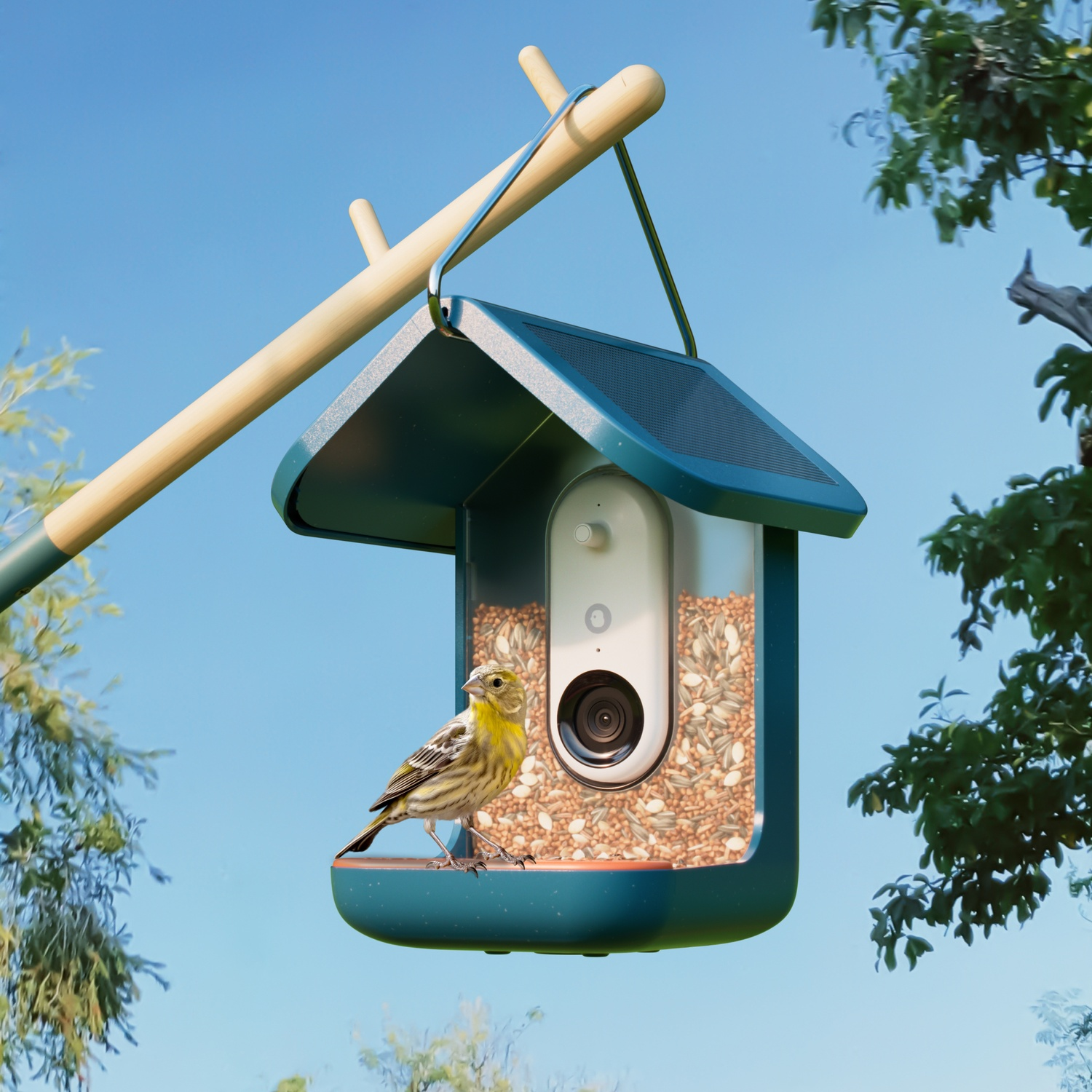 Bird Buddy's solar-powered smart feeder is $100 off for Amazon's Big Spring Sale | The Verge