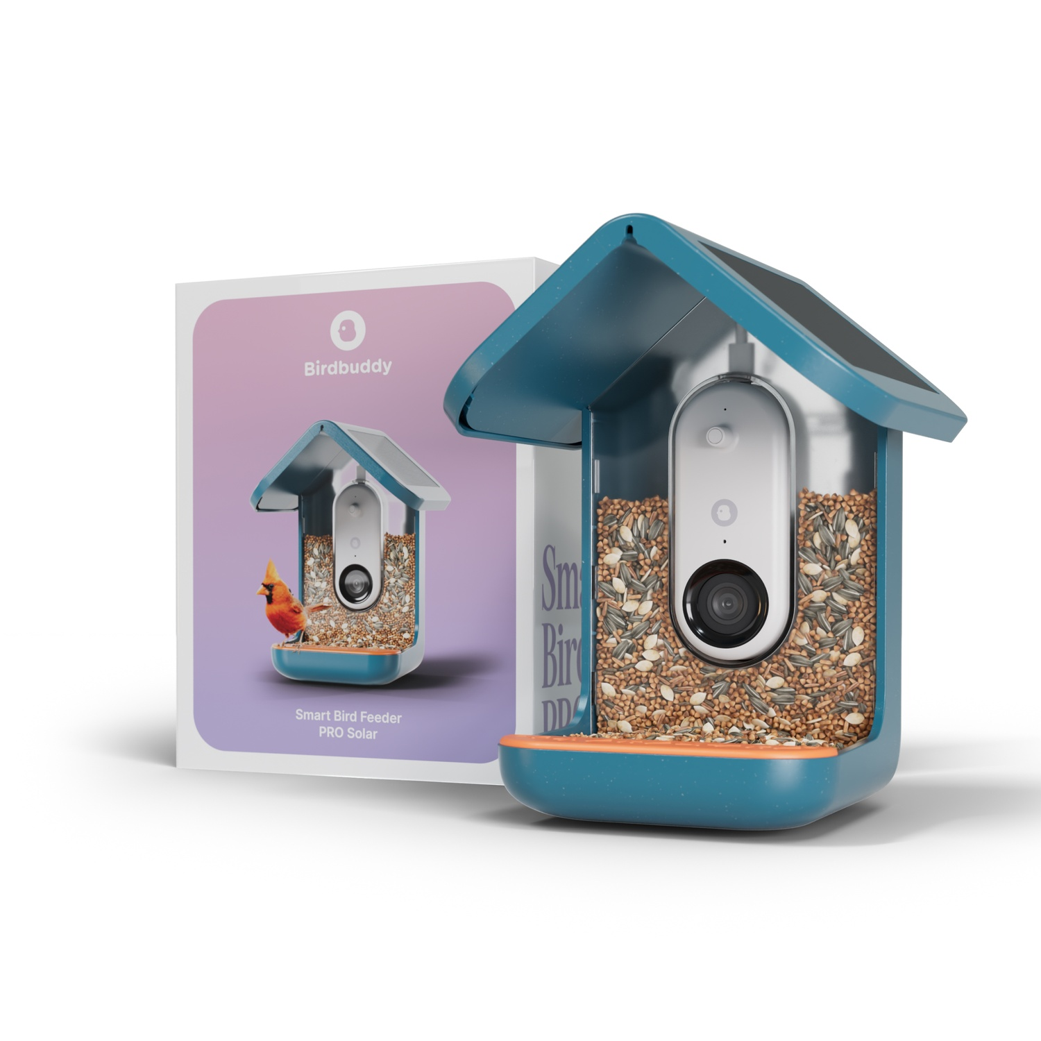 A bird feeder with a camera and seeds. A box with a bird picture is beside it.