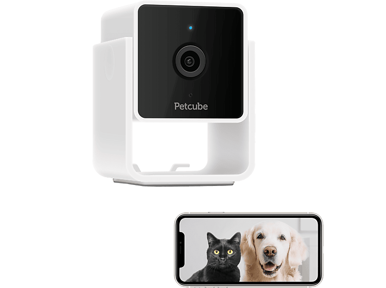 Caméra de surveillance pour animaux Petcube Cam