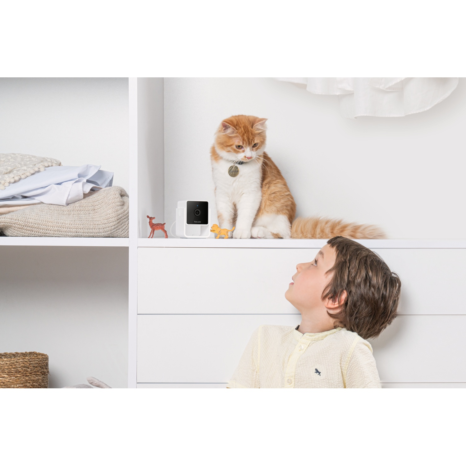 A boy looks up at a cat on a shelf above him. There are toys and other objects.