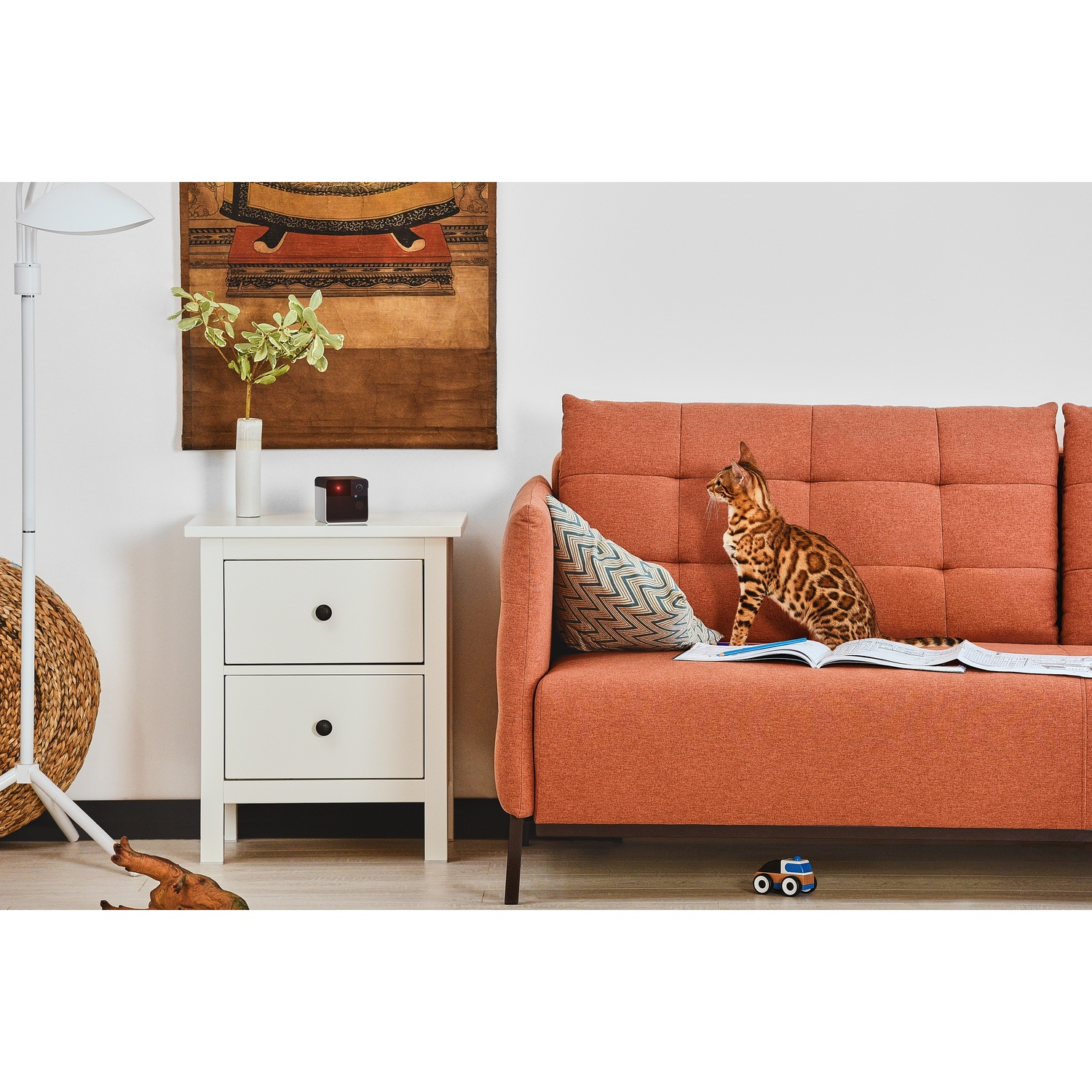 A cat sits on a sofa next to a side table. A painting hangs on the wall, and a toy car is on the floor.