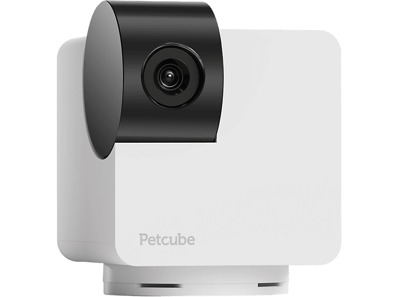 Petcube Cam 360