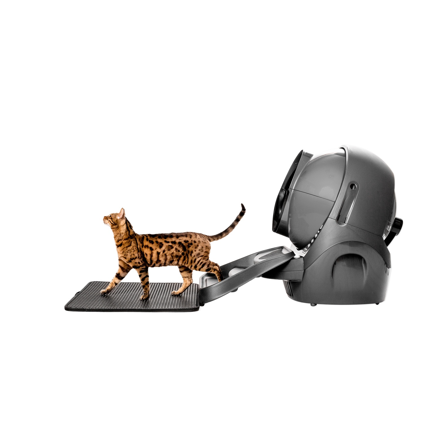 A cat walks onto a litter box. It's a gray, self-cleaning litter box. The cat is brown.