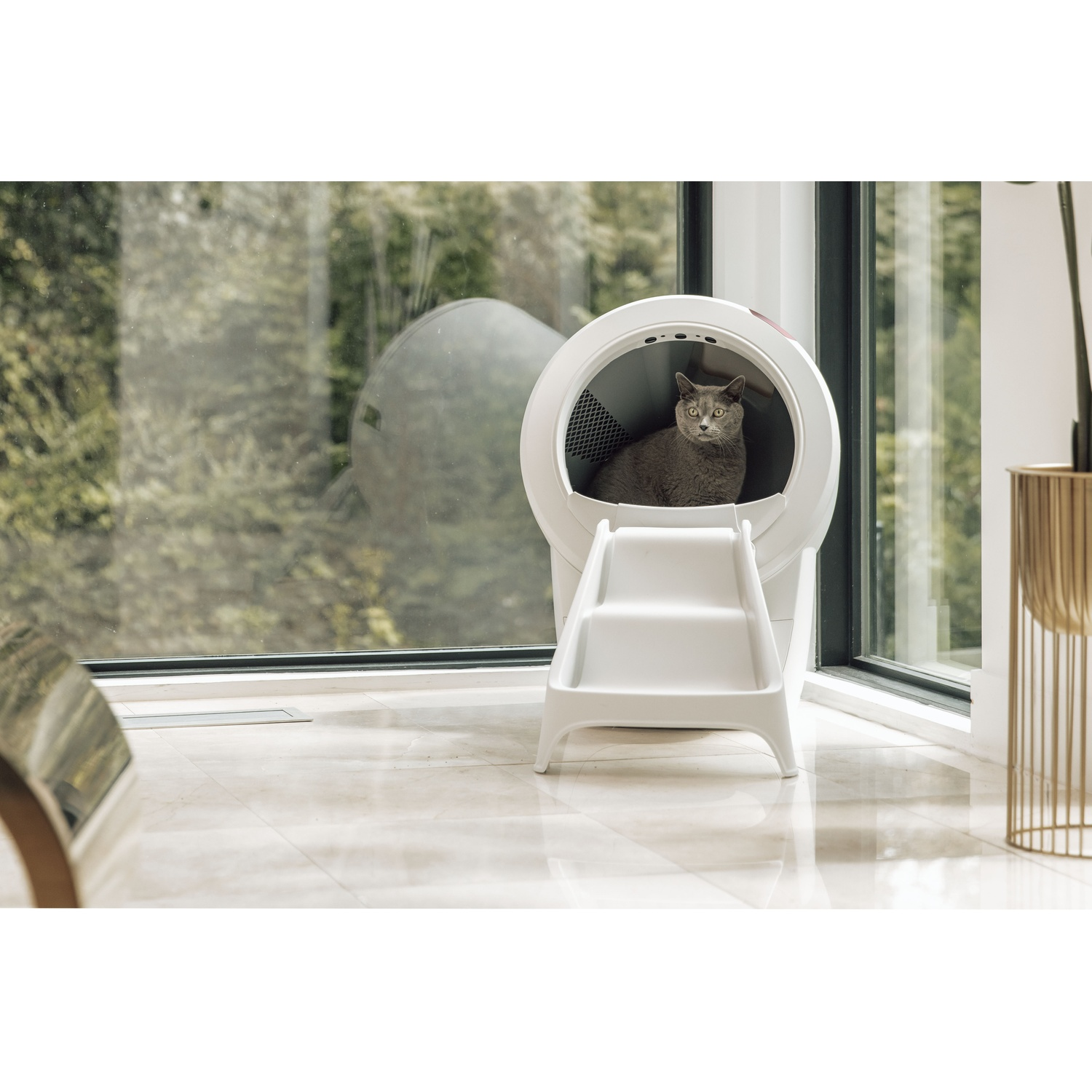 Grijze kat in een witte, afgesloten kattenbak met trappen. Raam op de achtergrond.