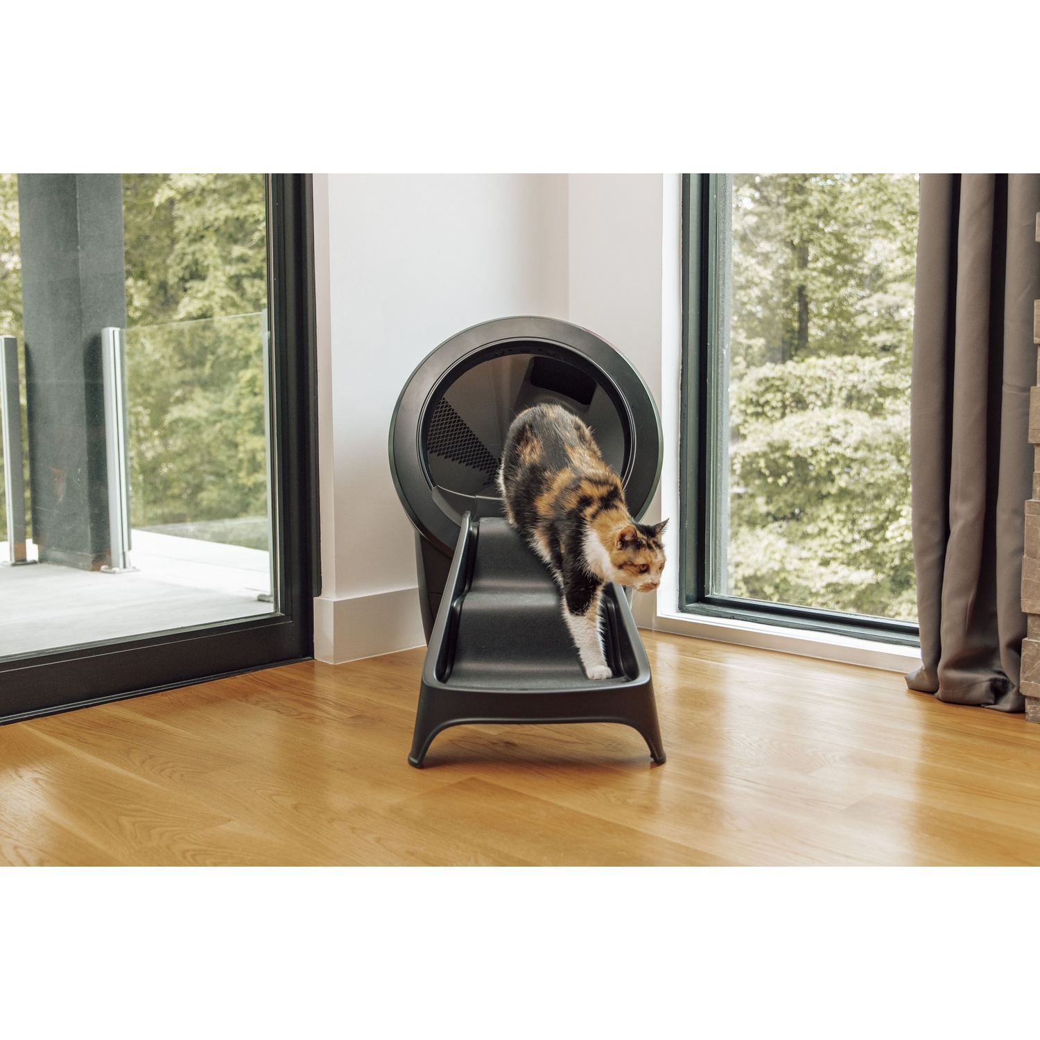 A cat exiting a black, self-cleaning litter box, set in a room with hardwood floors.