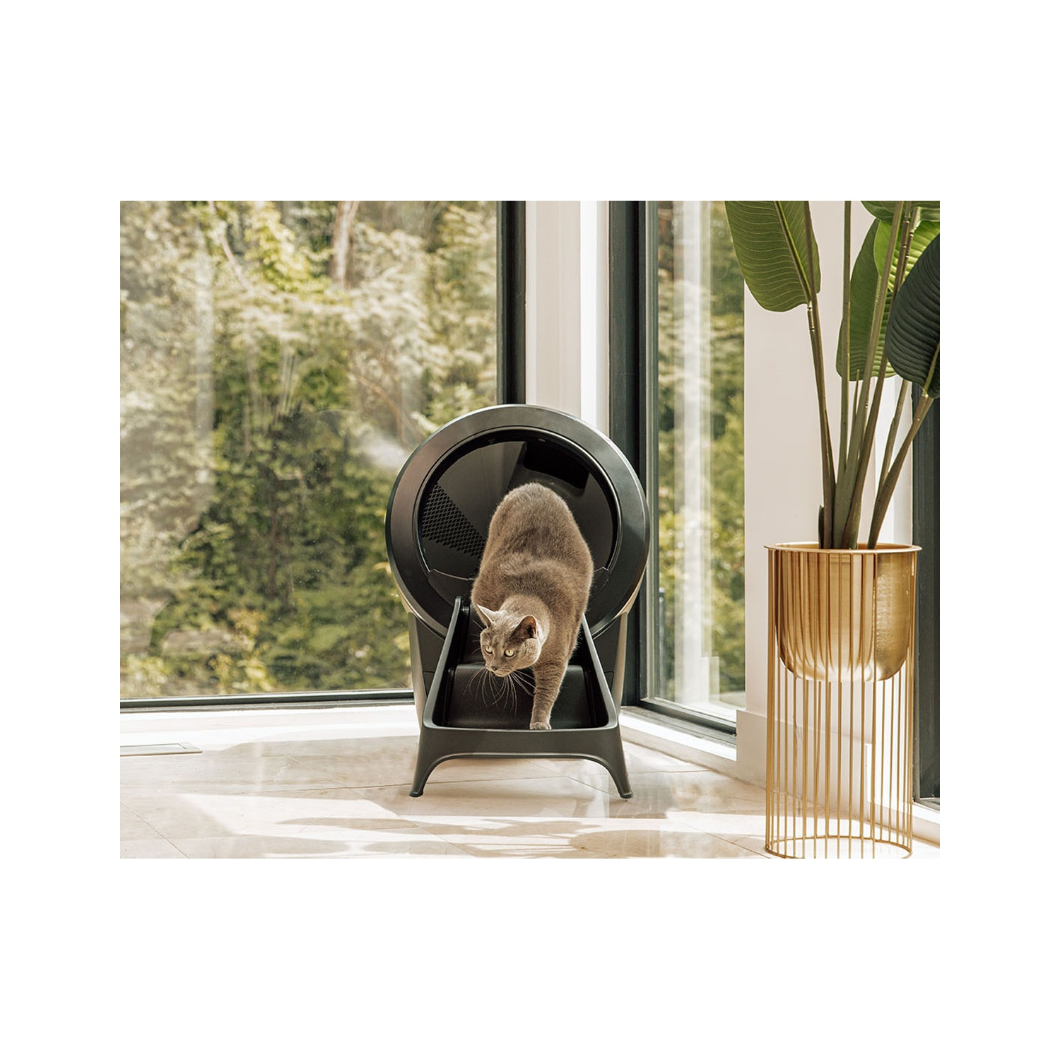 A cat entering a self-cleaning litter box in a room.