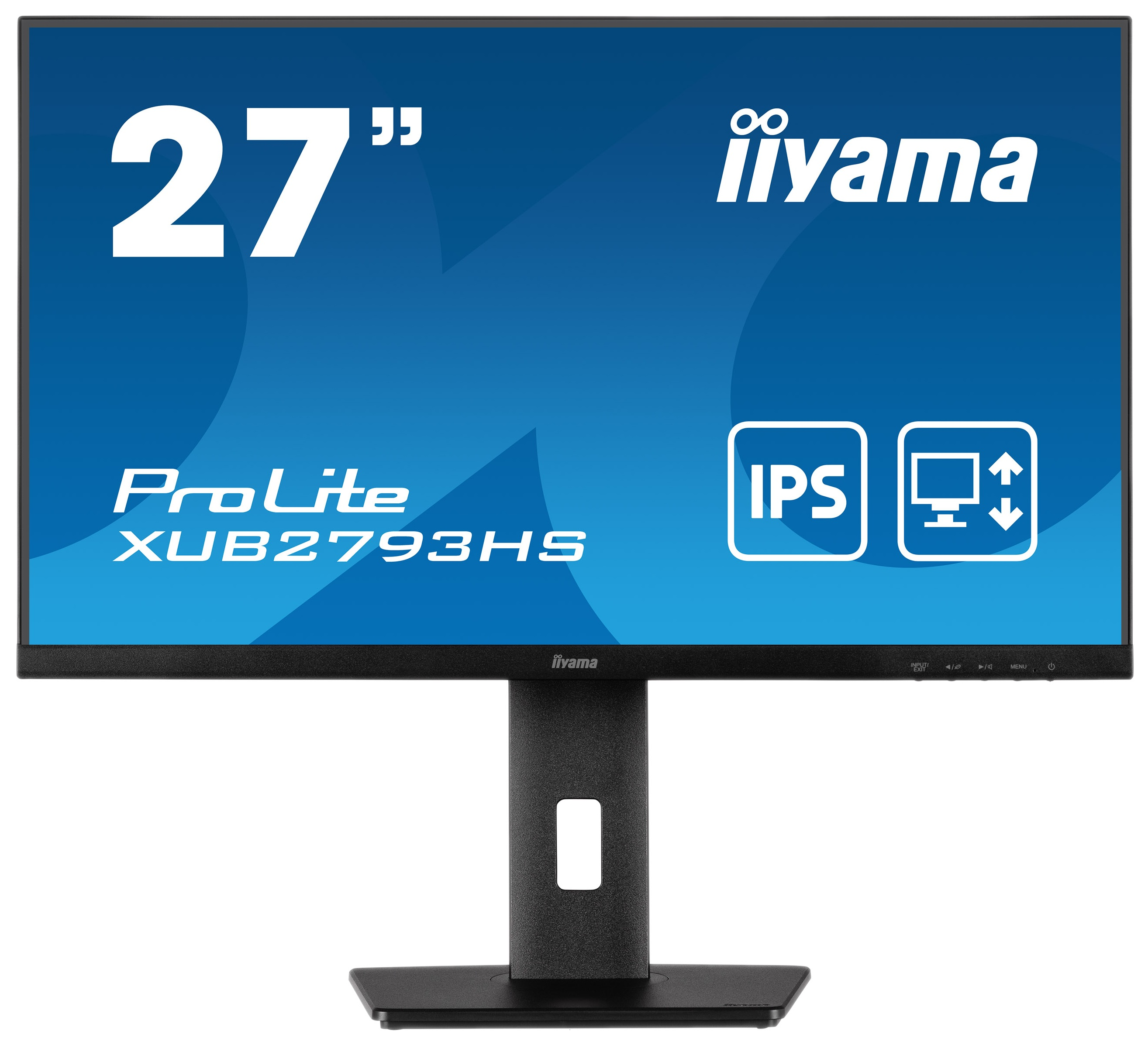 Monitor z tekstem i logo iiyama.