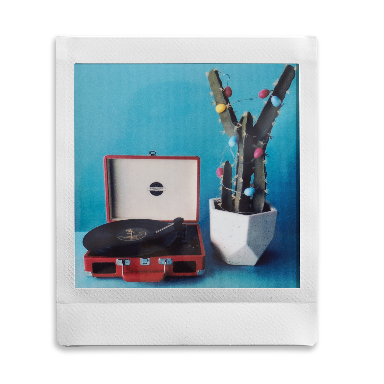 Tourne-disque et cactus avec œufs.