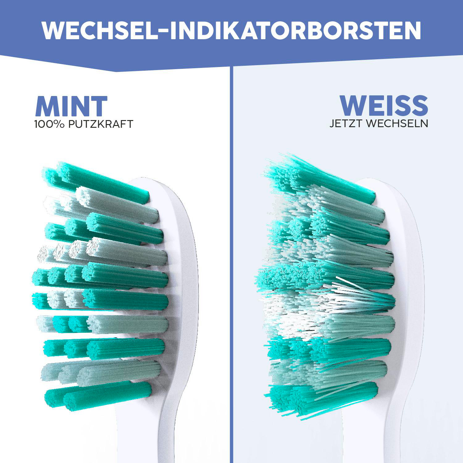 Zwei Zahnbürstenköpfe. Einer ist mintgrün, der andere weiß mit grünen Borsten.