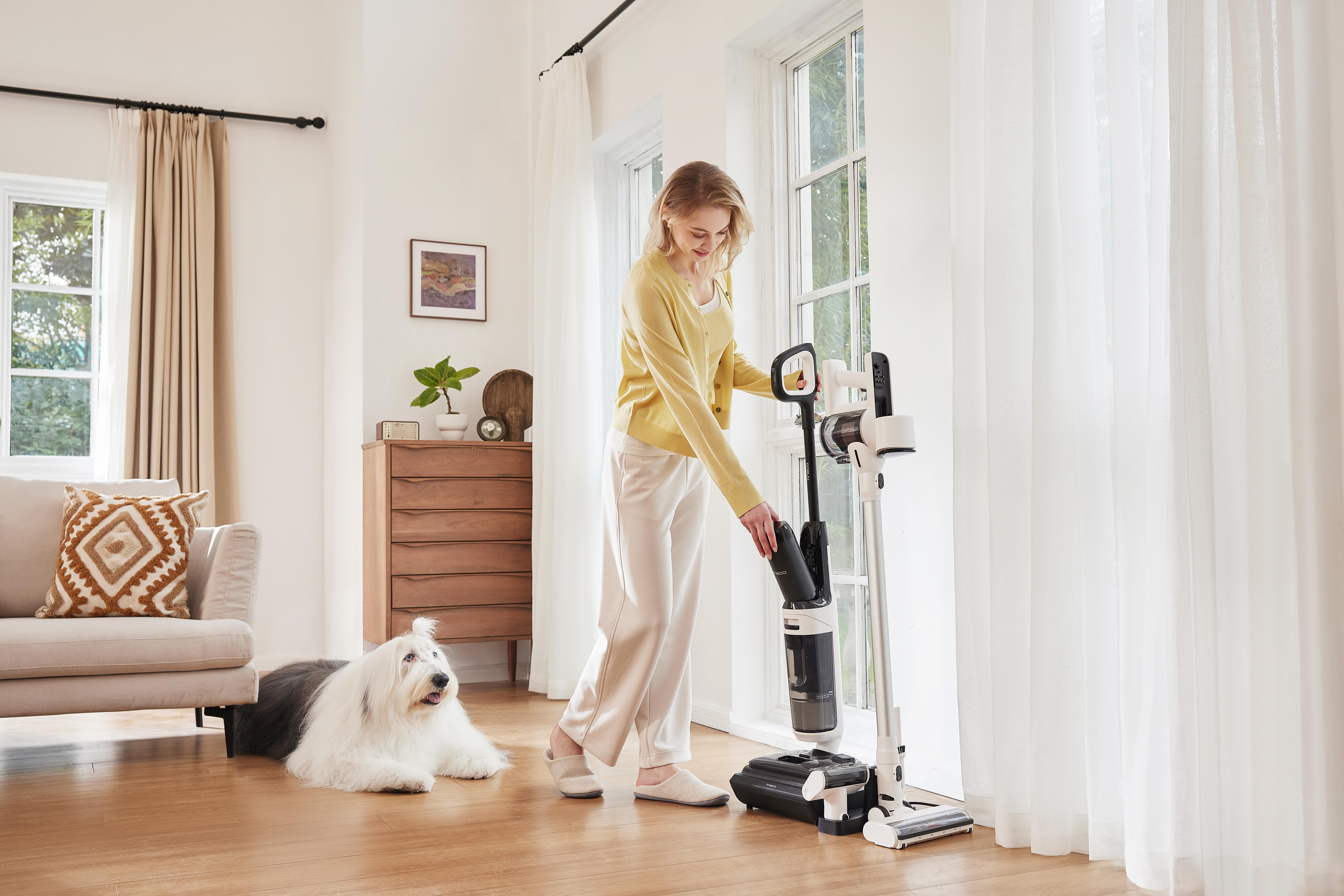 Frau benutzt Staubsauger. Ein Hund sitzt auf dem Boden. Sonnenlicht scheint durch ein Fenster.