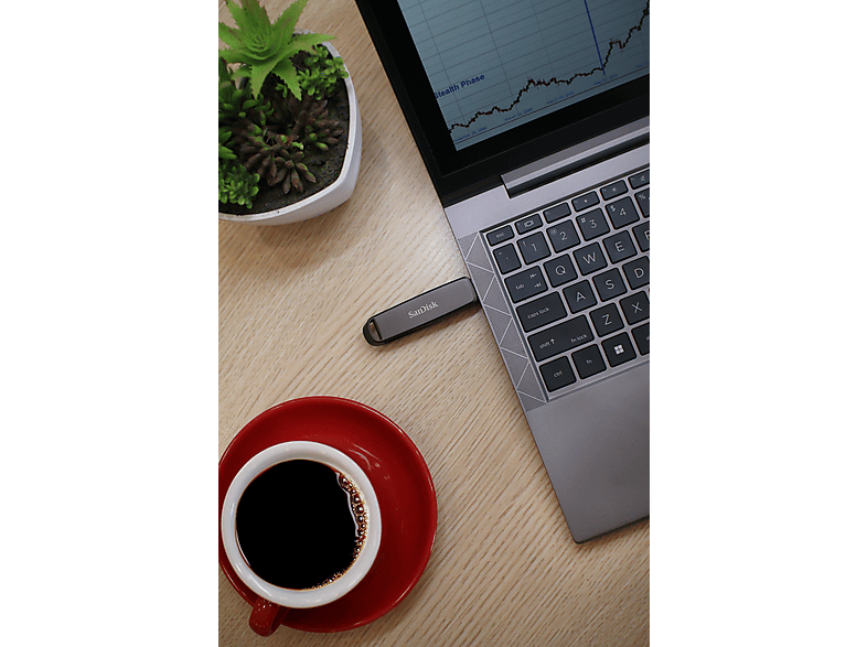 Thumbnail - SANDISK Extreme PRO® Dual Drive USB Stick, 2 TB, Dunkelgrau