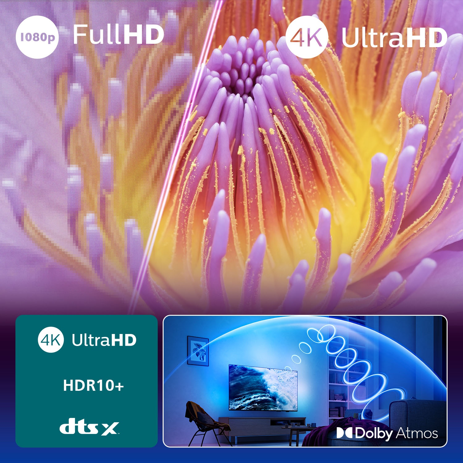 Écran de télévision avec scène de fleurs et de pièce. Texte concernant la 4K et Dolby Atmos.