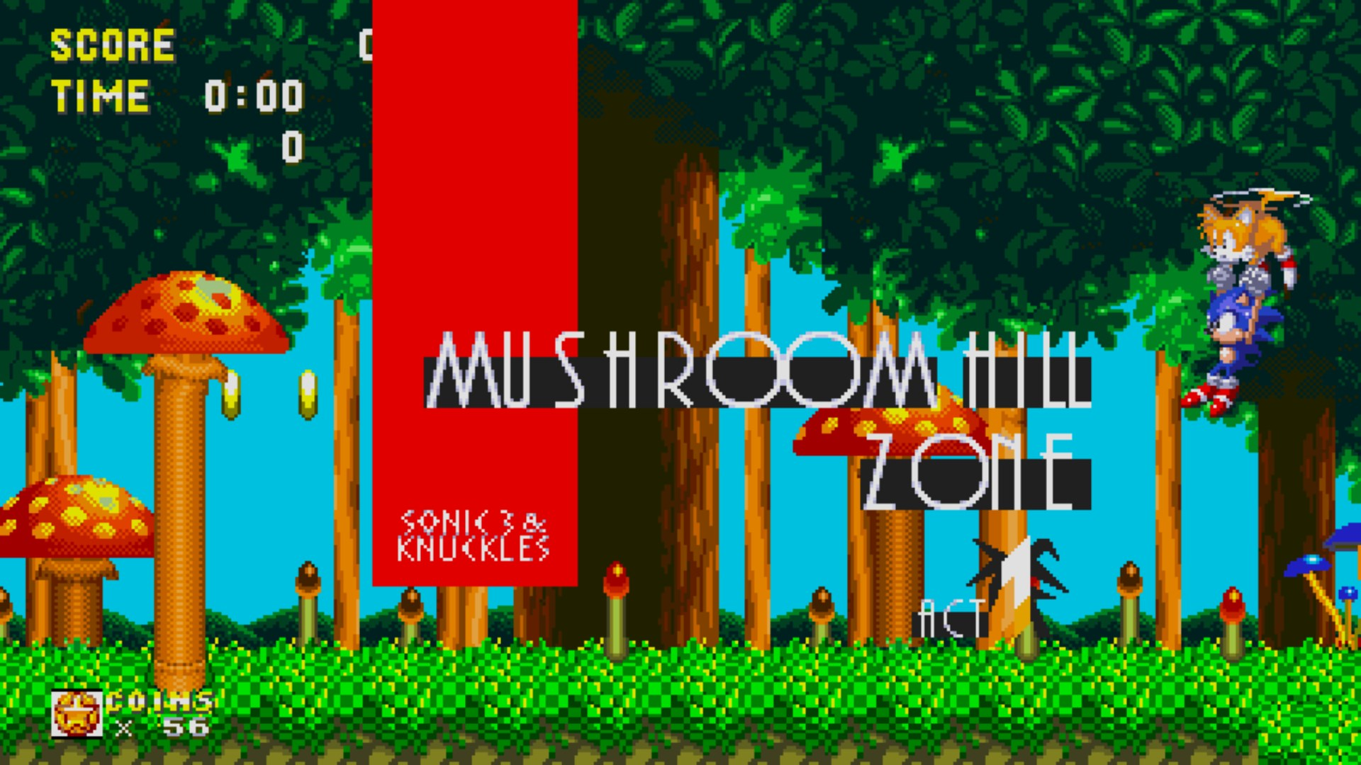 Sonic the Hedgehog in un livello del videogioco Mushroom Hill Zone con Tails.
