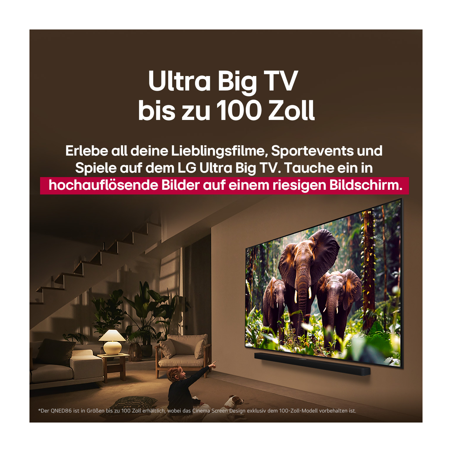 Eine Frau zeigt auf einen Fernseher. Der Fernseher zeigt Elefanten im Wald.