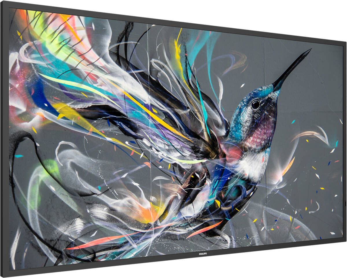 Kolibri-Graffiti-Kunst auf grauem Hintergrund. Es hat bunte Flügel und einen langen Schnabel.
