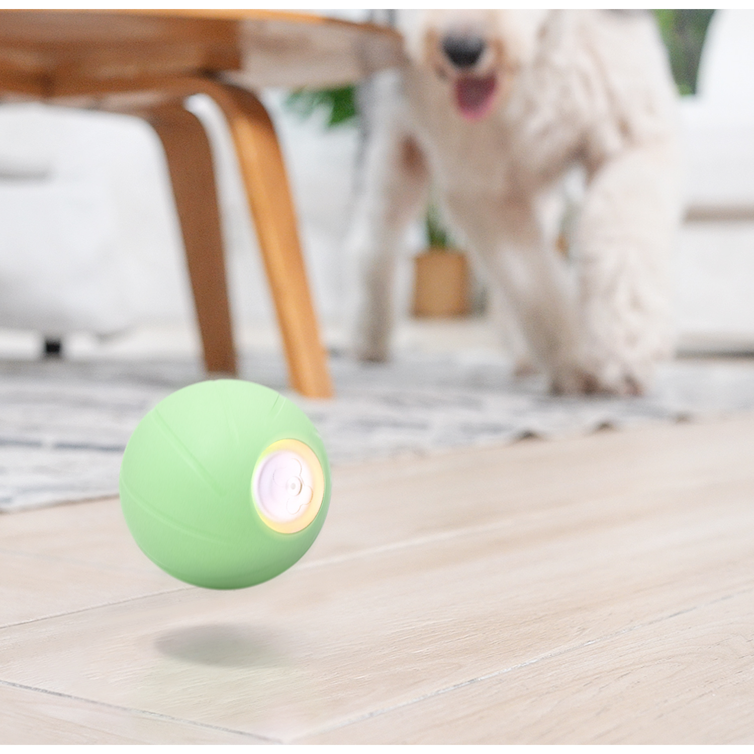 Green ball in mid-air, dog in background, wooden floor.