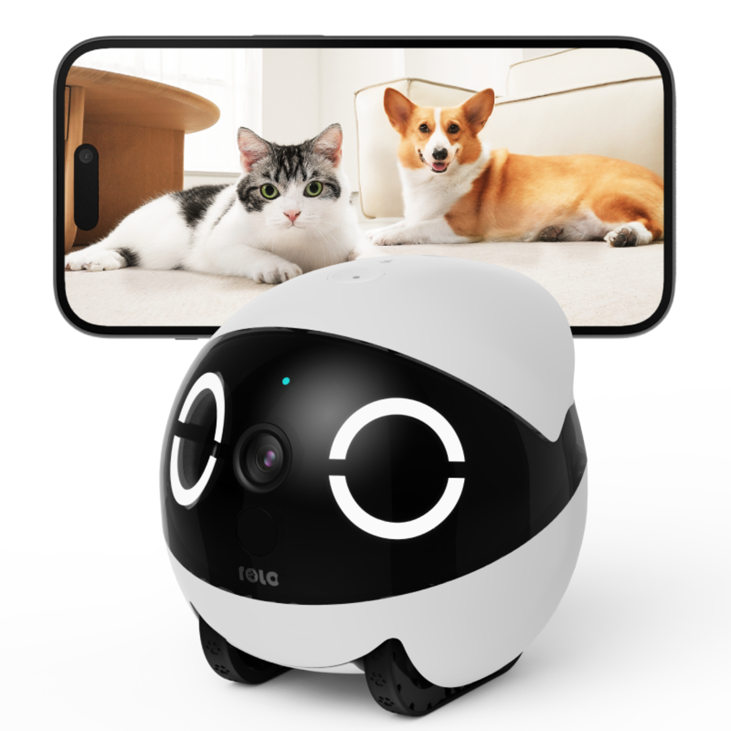 Een witte en zwarte robot met grote ogen, die een live feed van een kat en hond toont.