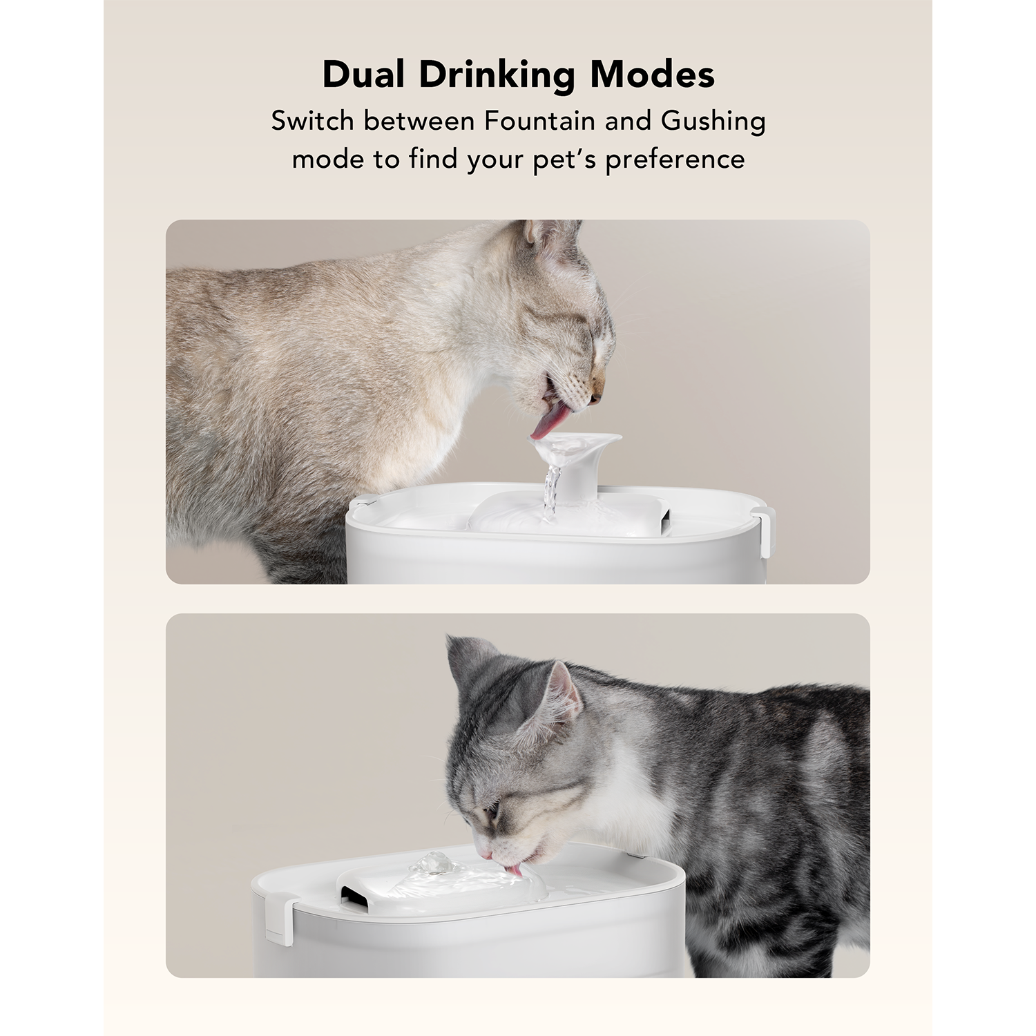 Twee katten die uit een waterfontein drinken in verschillende modi.