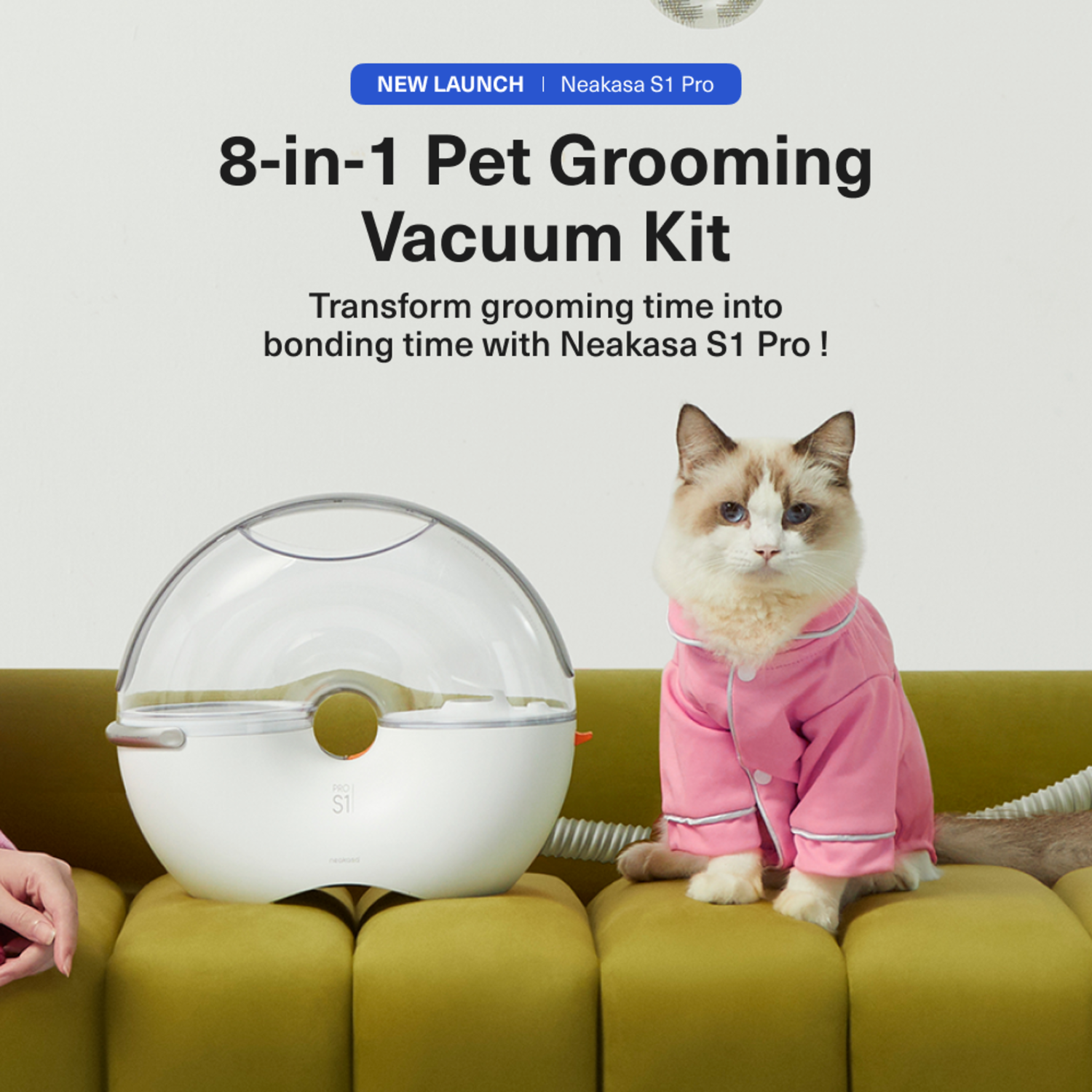 Cat in pink pajamas next to grooming vacuum kit.