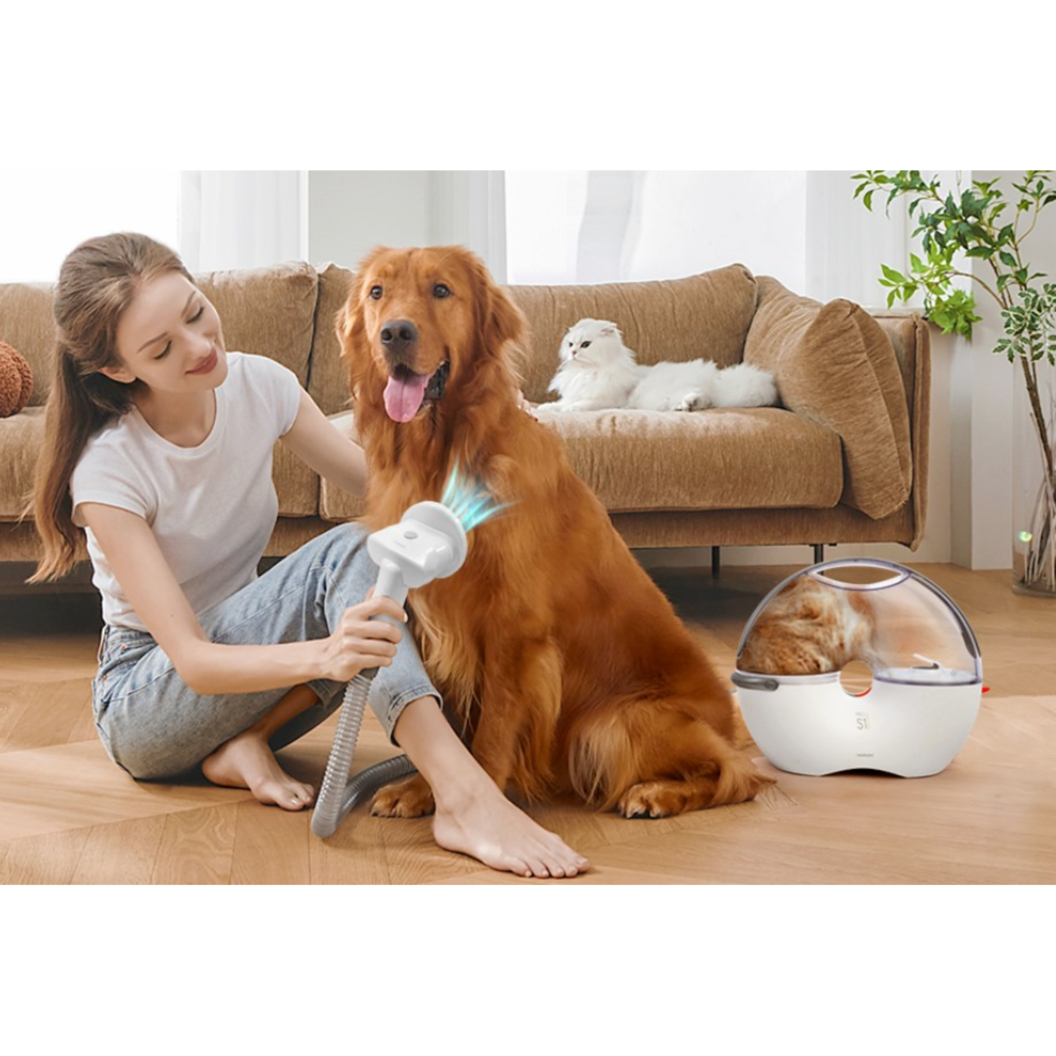 Woman brushing a golden retriever, cat on couch, and a pet drying machine.