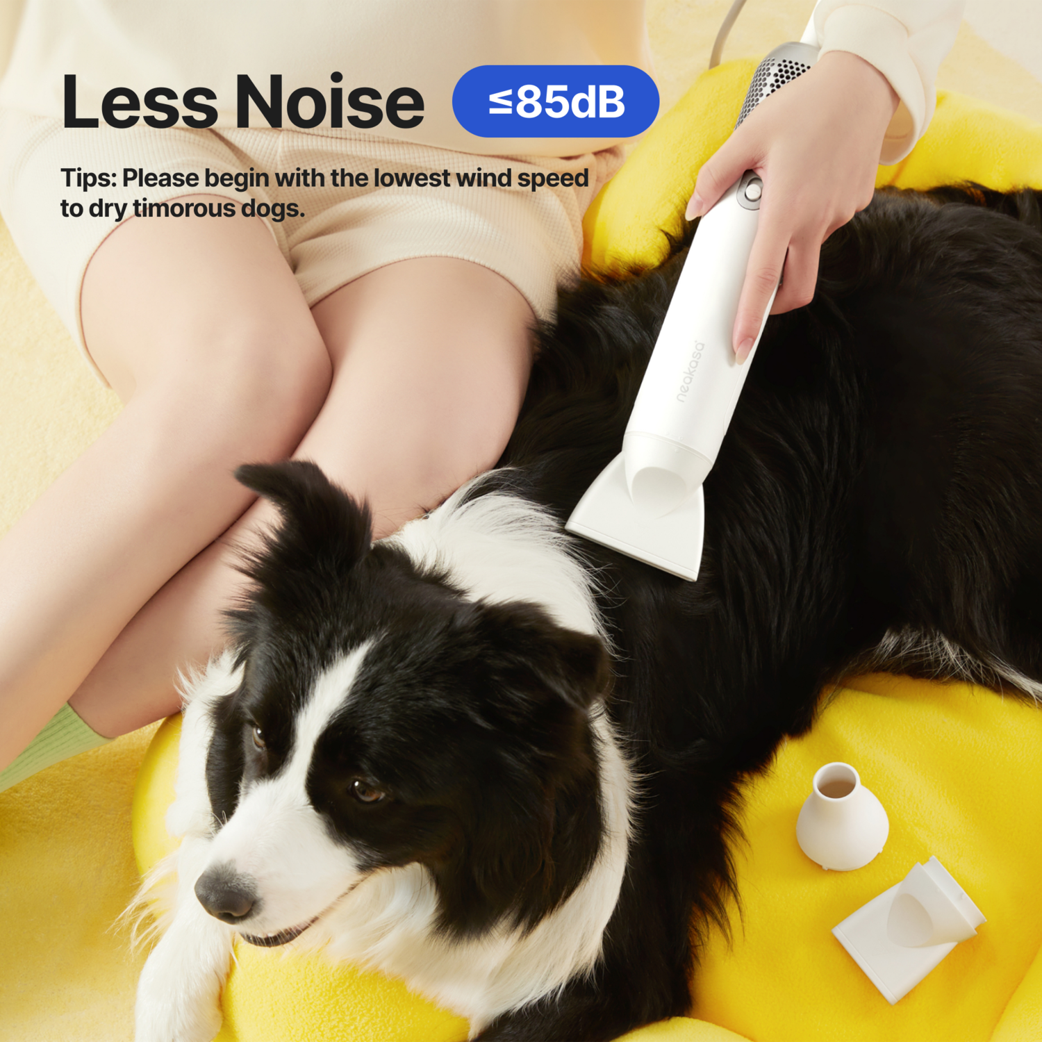 A person drying a black and white dog with a white pet dryer on a yellow bed.