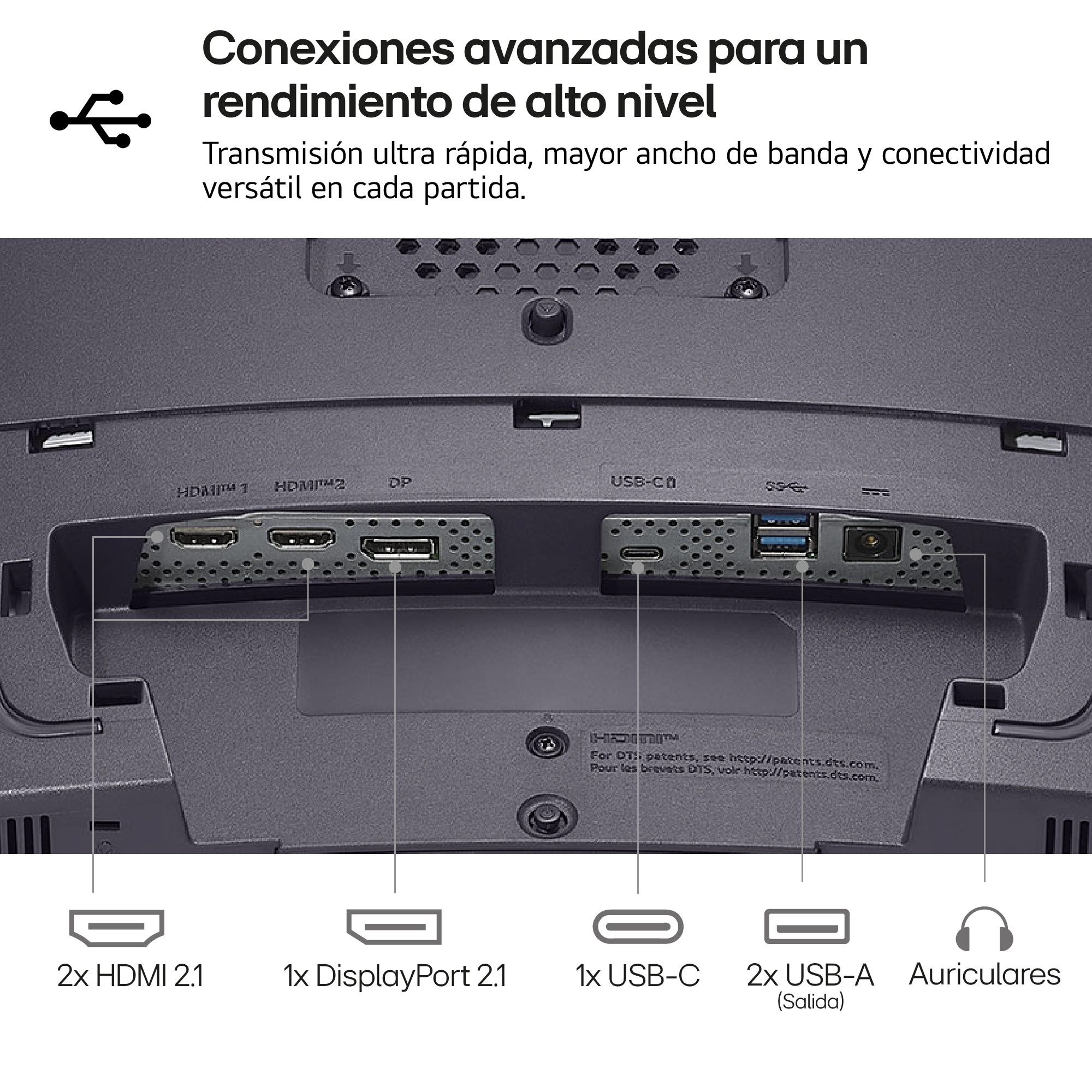 Parte trasera de un monitor que muestra los puertos: HDMI, DisplayPort, USB y audio.
