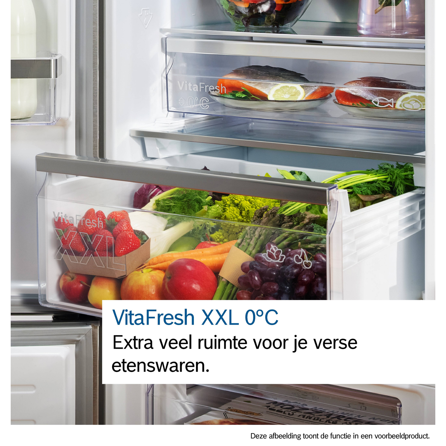 Refrigerator interior with vegetables and fish. Drawers labeled VitaFresh. Fruits, vegetables, and fish are visible.