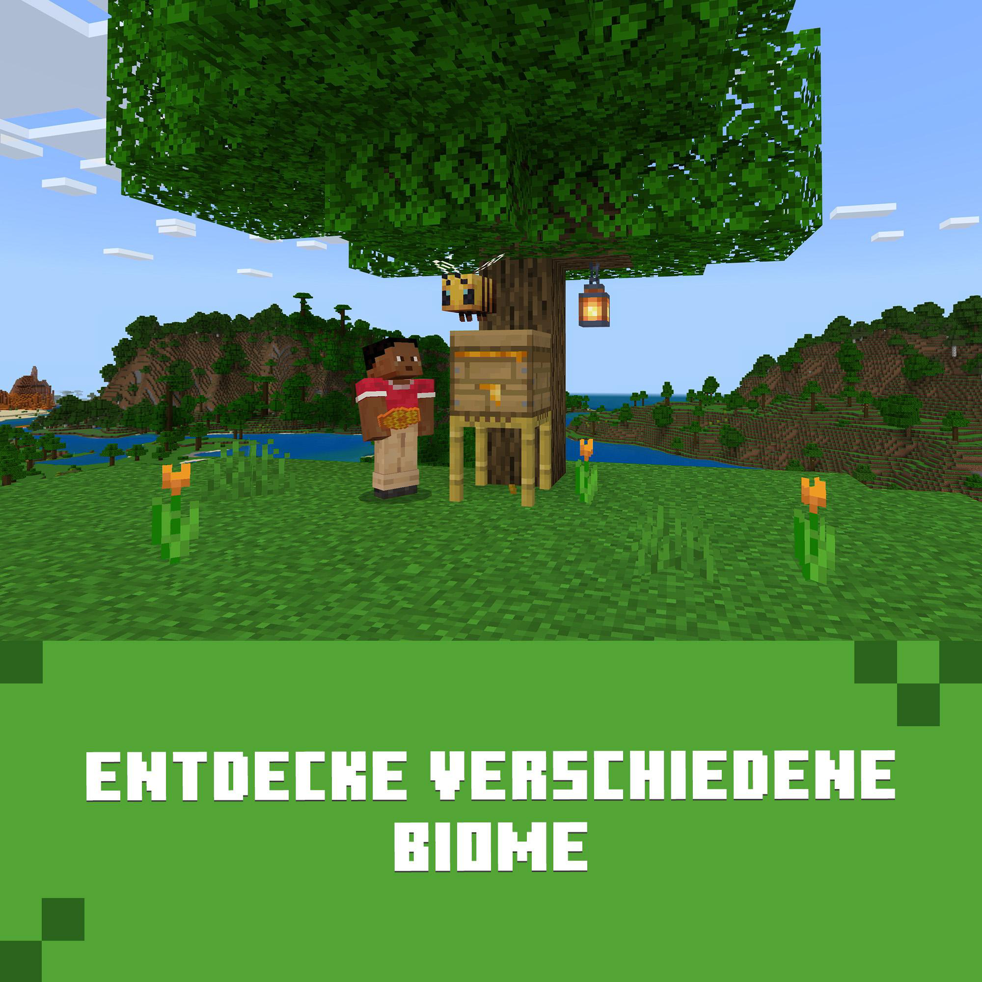 Minecraft-Szene mit Baum, Bienenstock und Charakter. Text: Entdecke Verschiedene Biome.