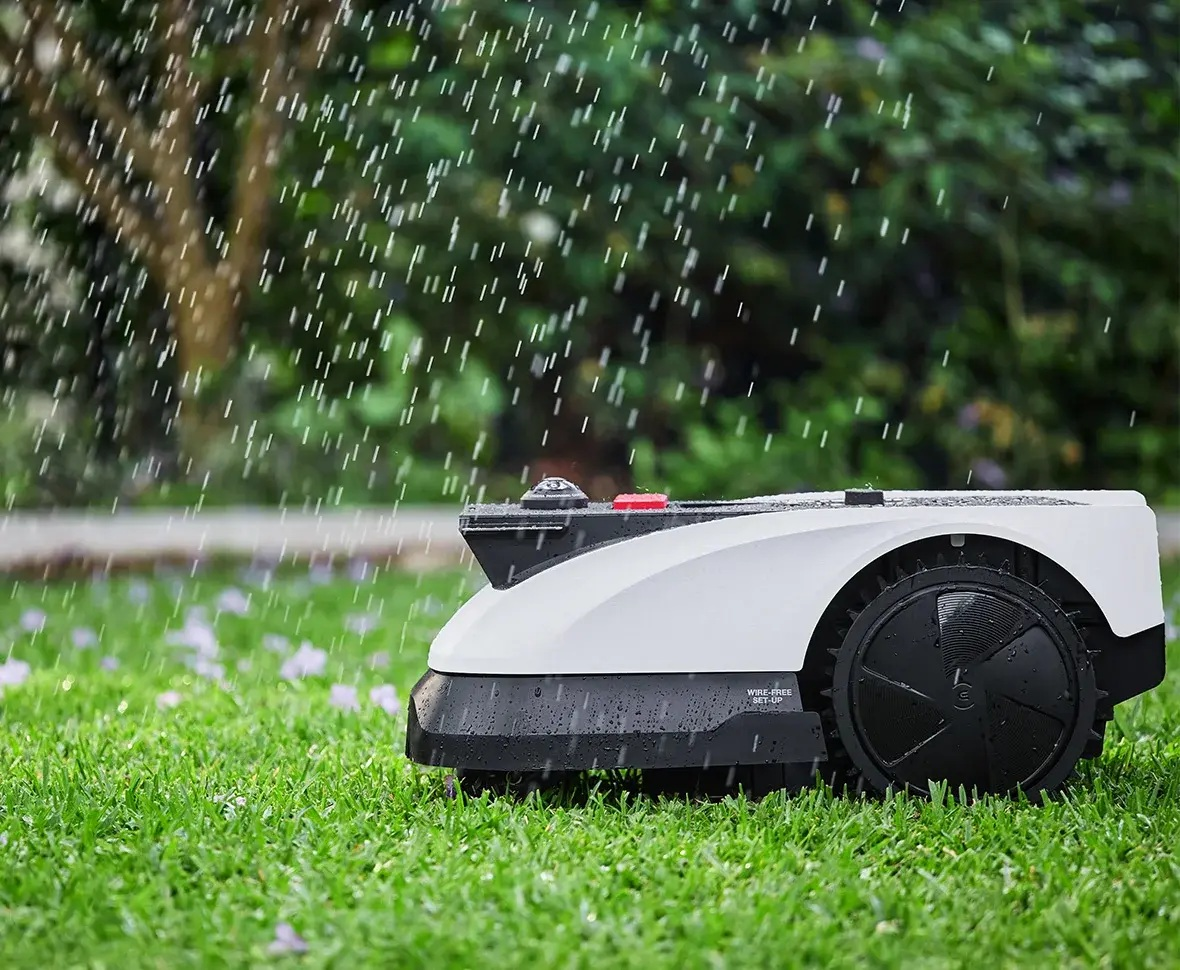 Robotyczna kosiarka do trawy na zielonym trawniku w deszczu. W tle drzewa.