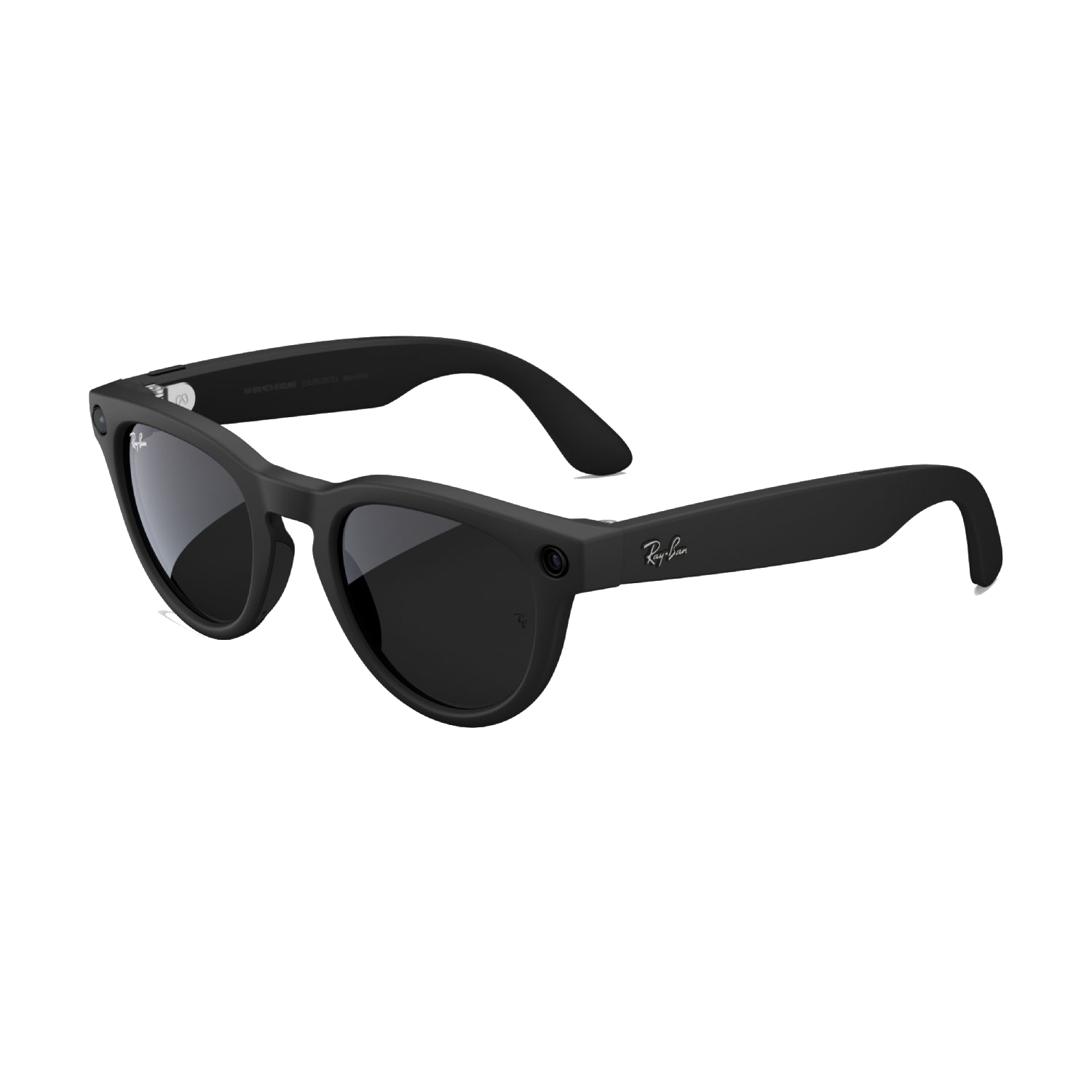 Gafas de sol Ray-Ban negras. El logo de Ray-Ban es visible en la patilla derecha.